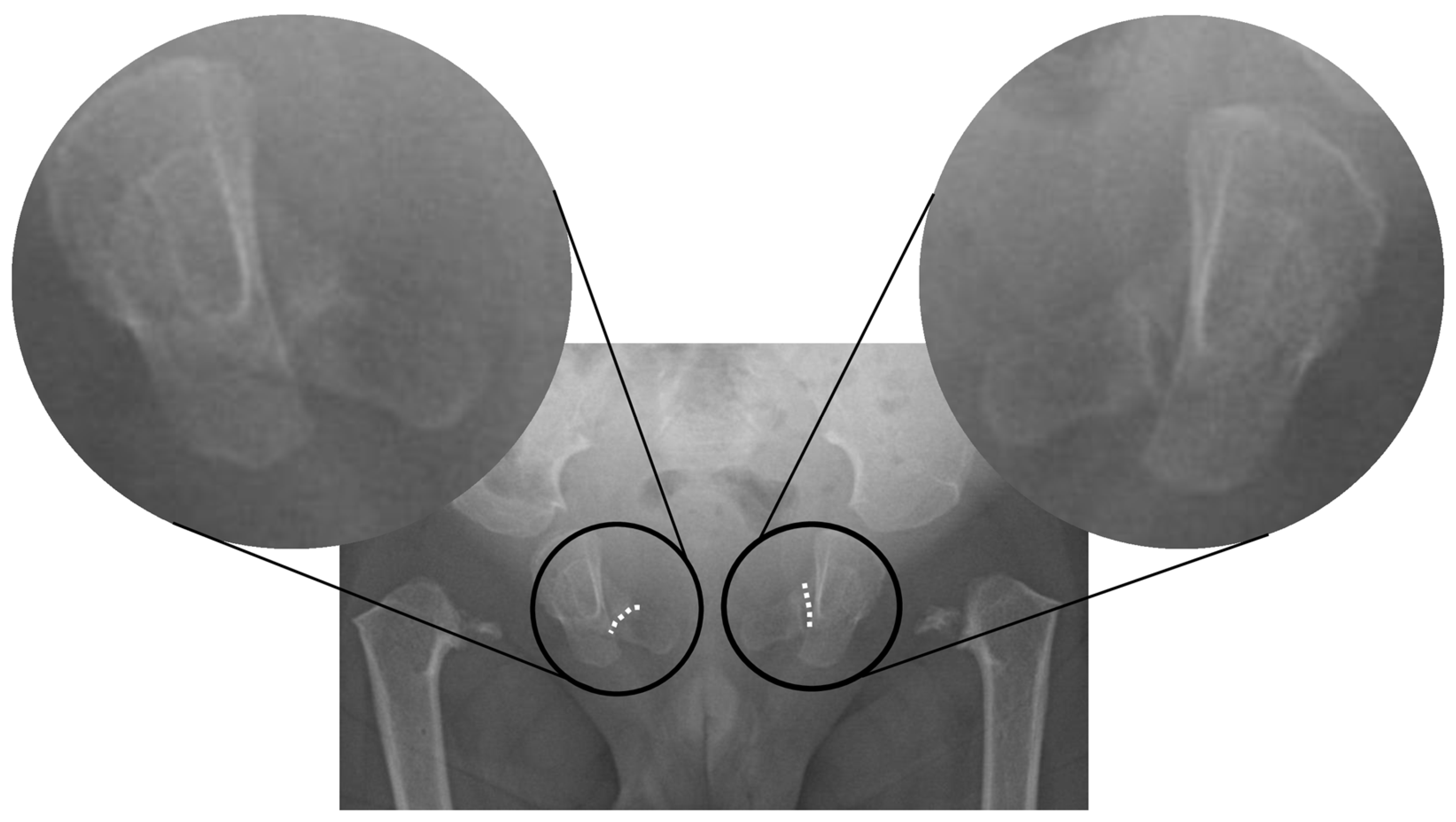 Diagnostics 16 01955 g003