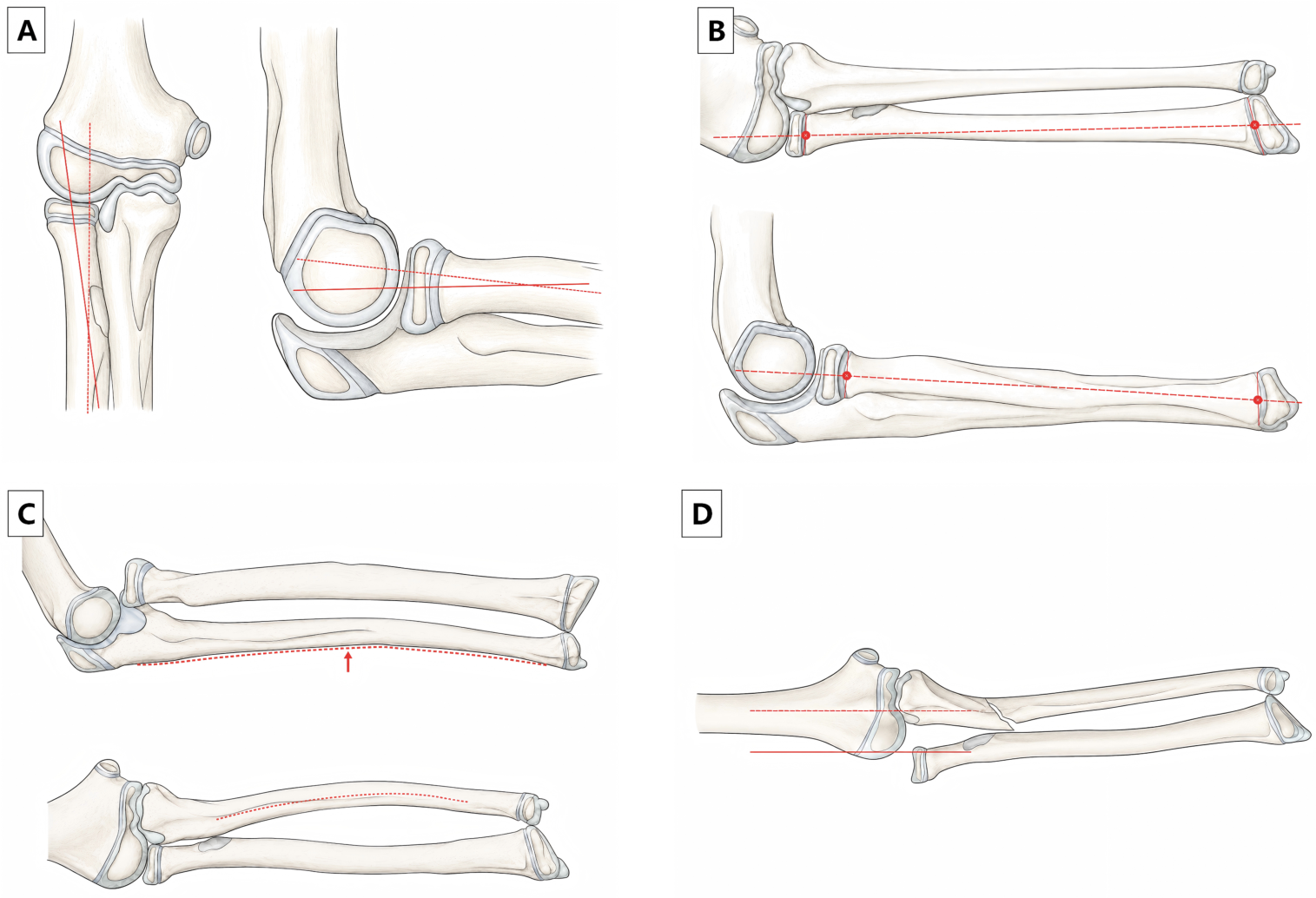 Diagnostics 16 02105 g002 Diagnostics 16 02105 g002