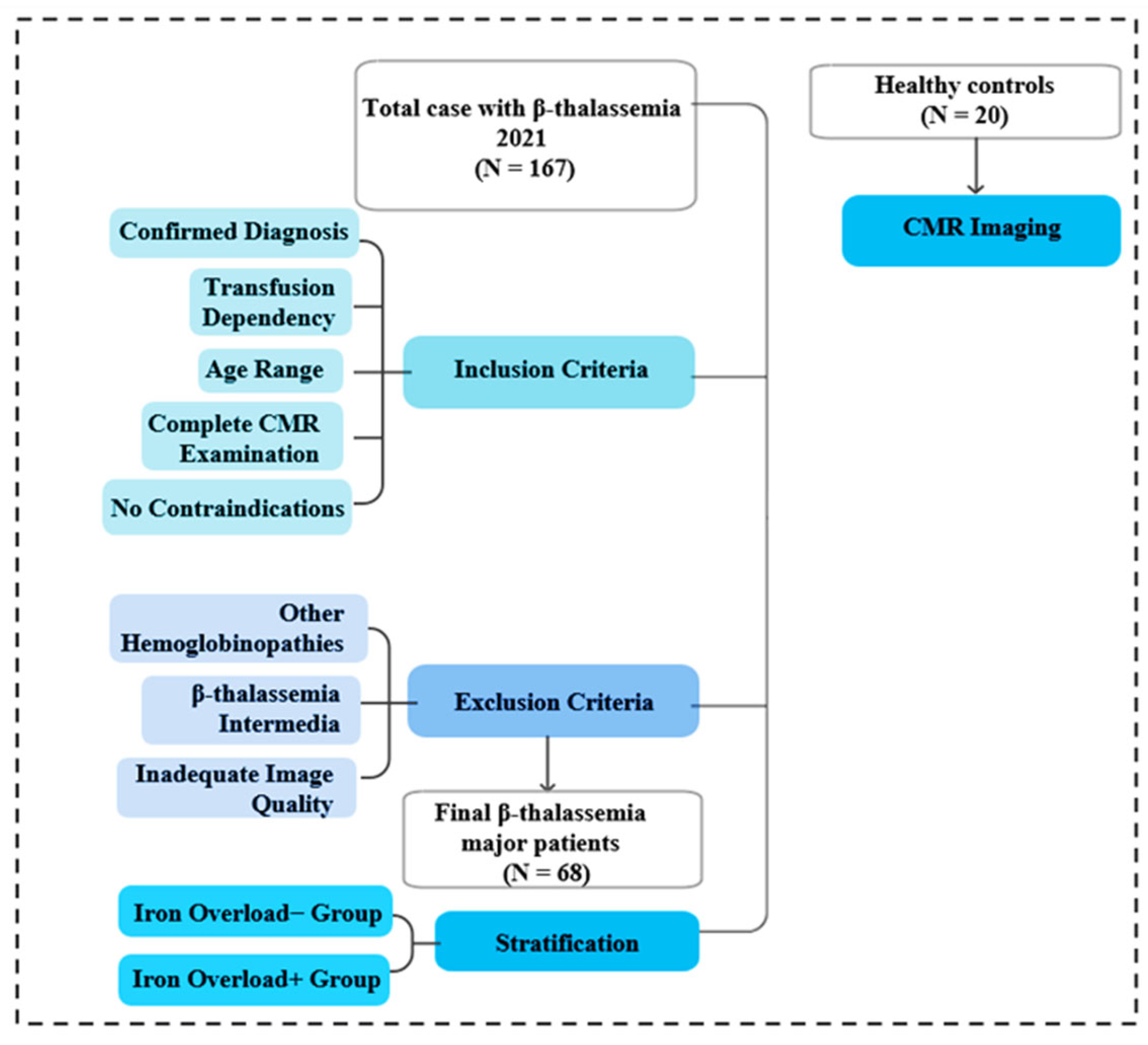 Diagnostics 16 02139 g002 Diagnostics 16 02139 g002