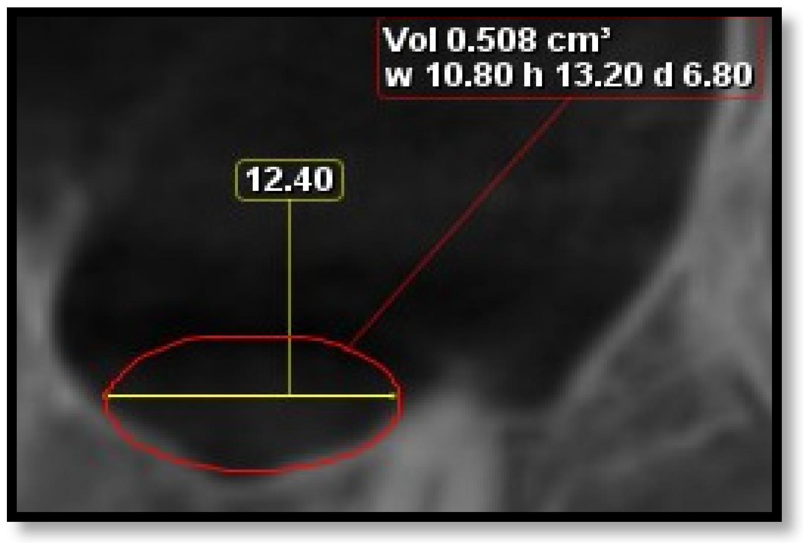 Diagnostics 16 02268 g002