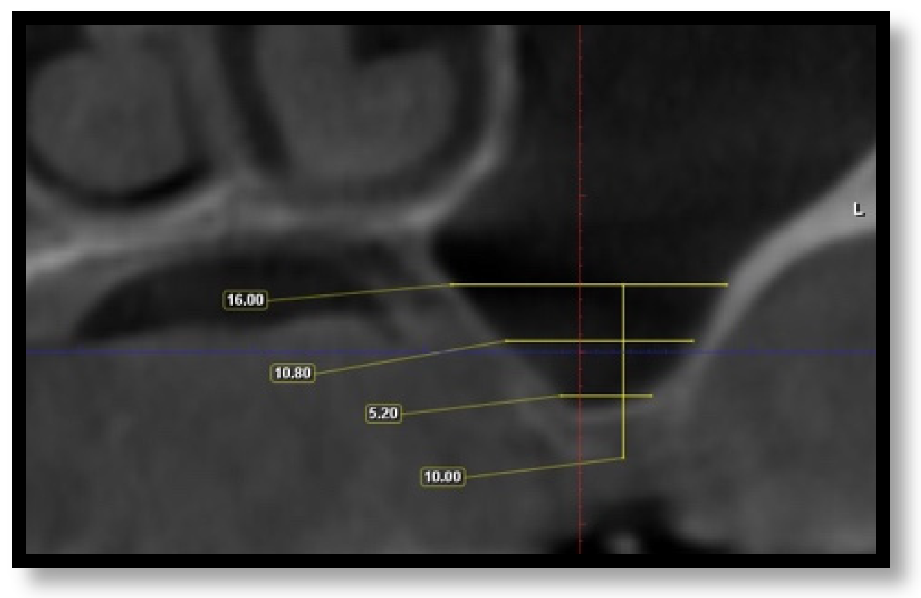Diagnostics 16 02268 g007