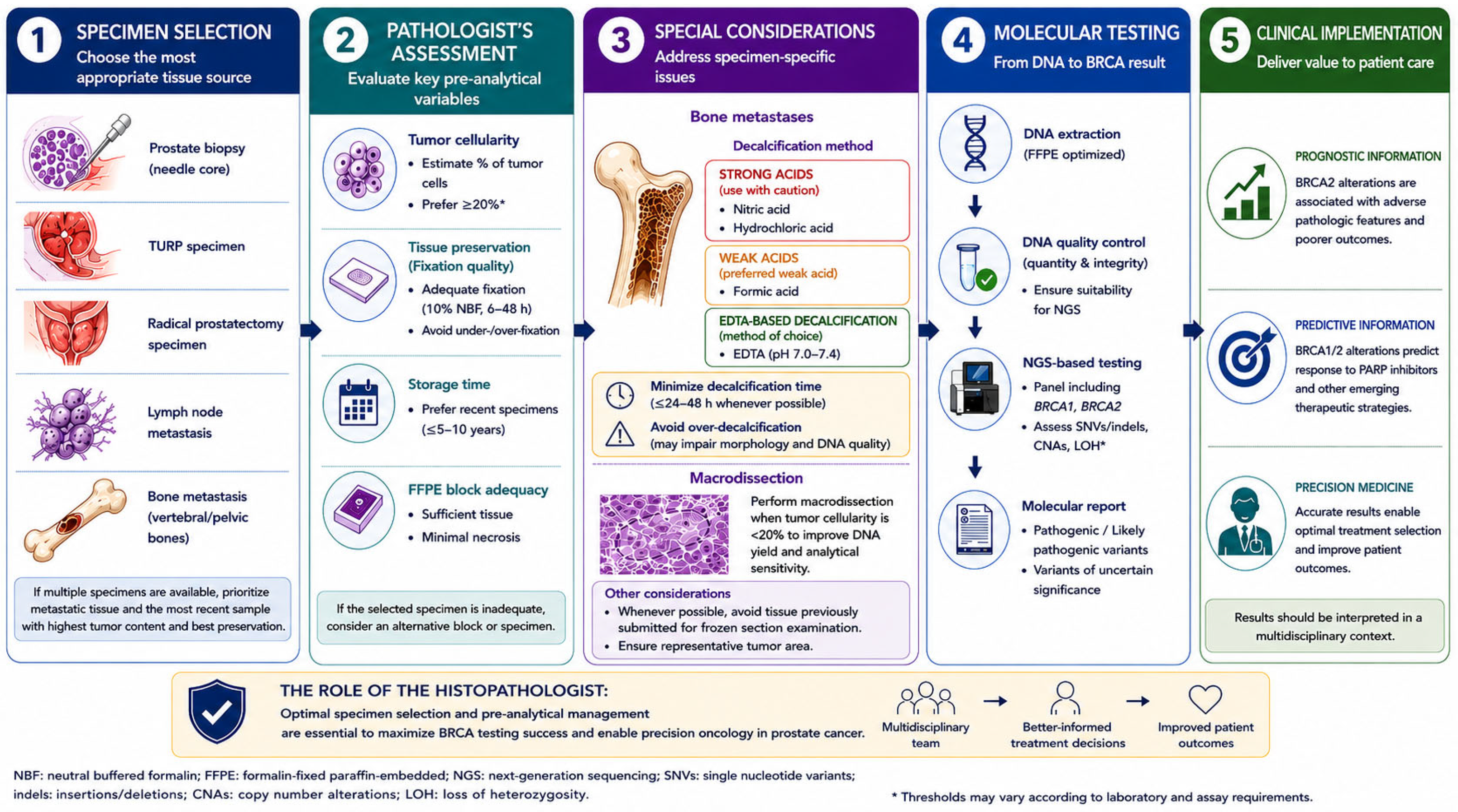 Diagnostics 16 02358 g001 Diagnostics 16 02358 g001