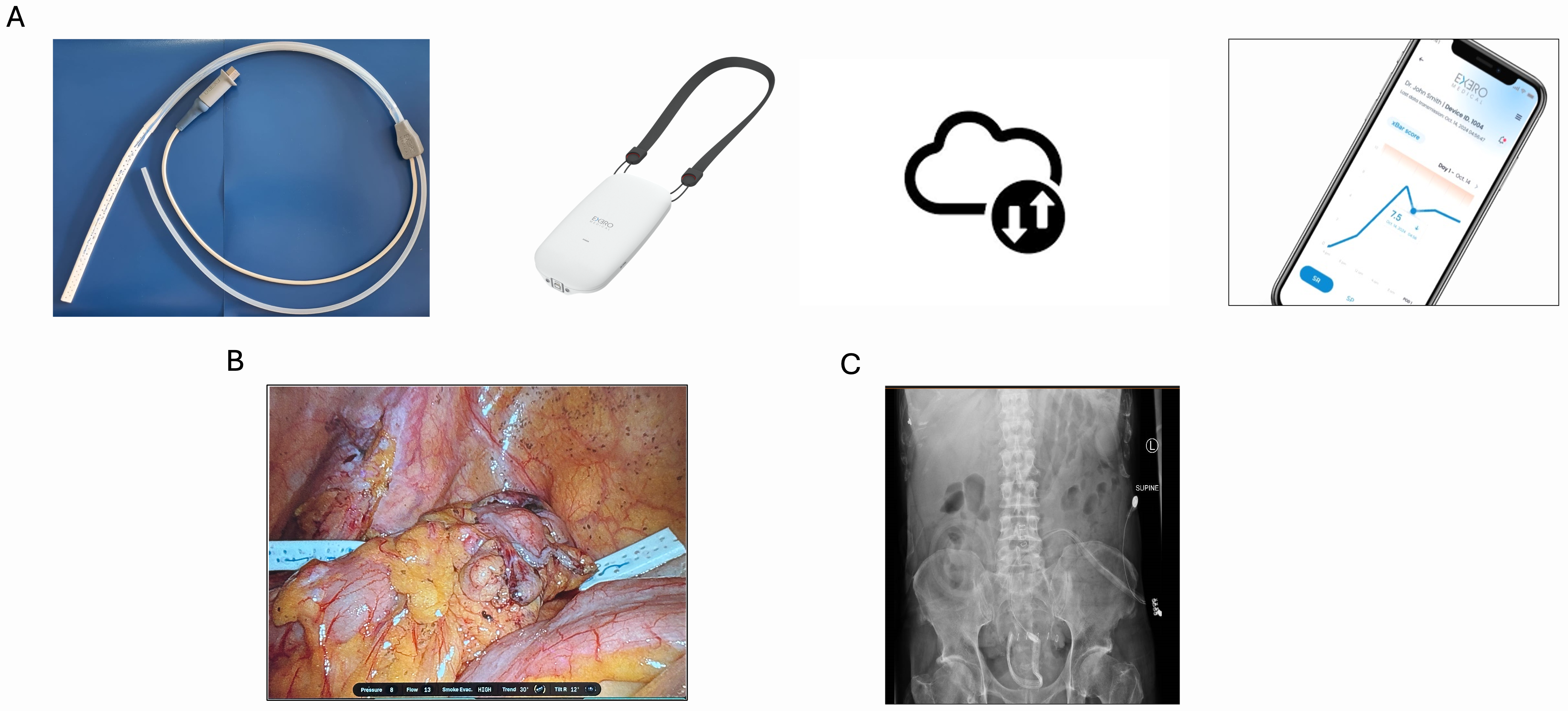 Diagnostics 16 02969 g001 Diagnostics 16 02969 g001