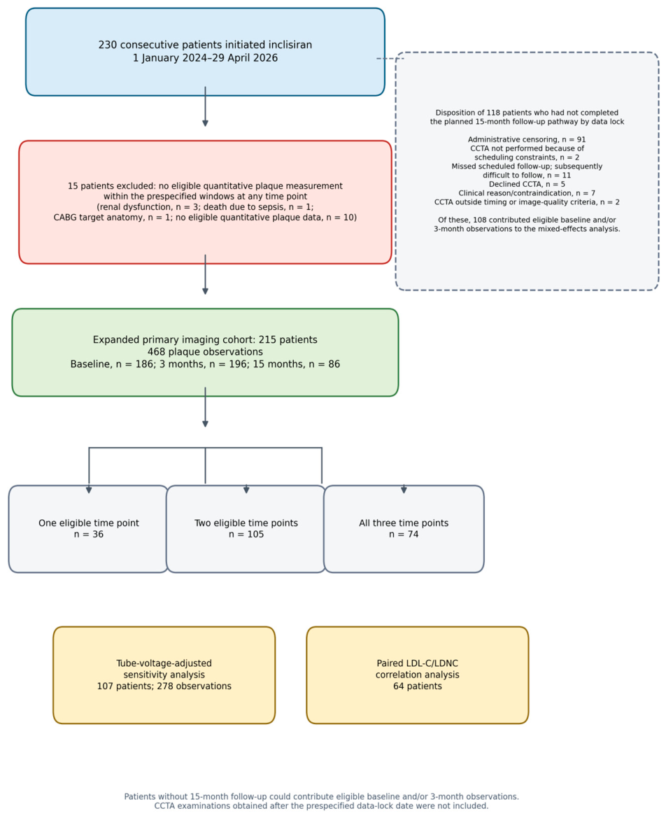 Diagnostics 16 03009 g001