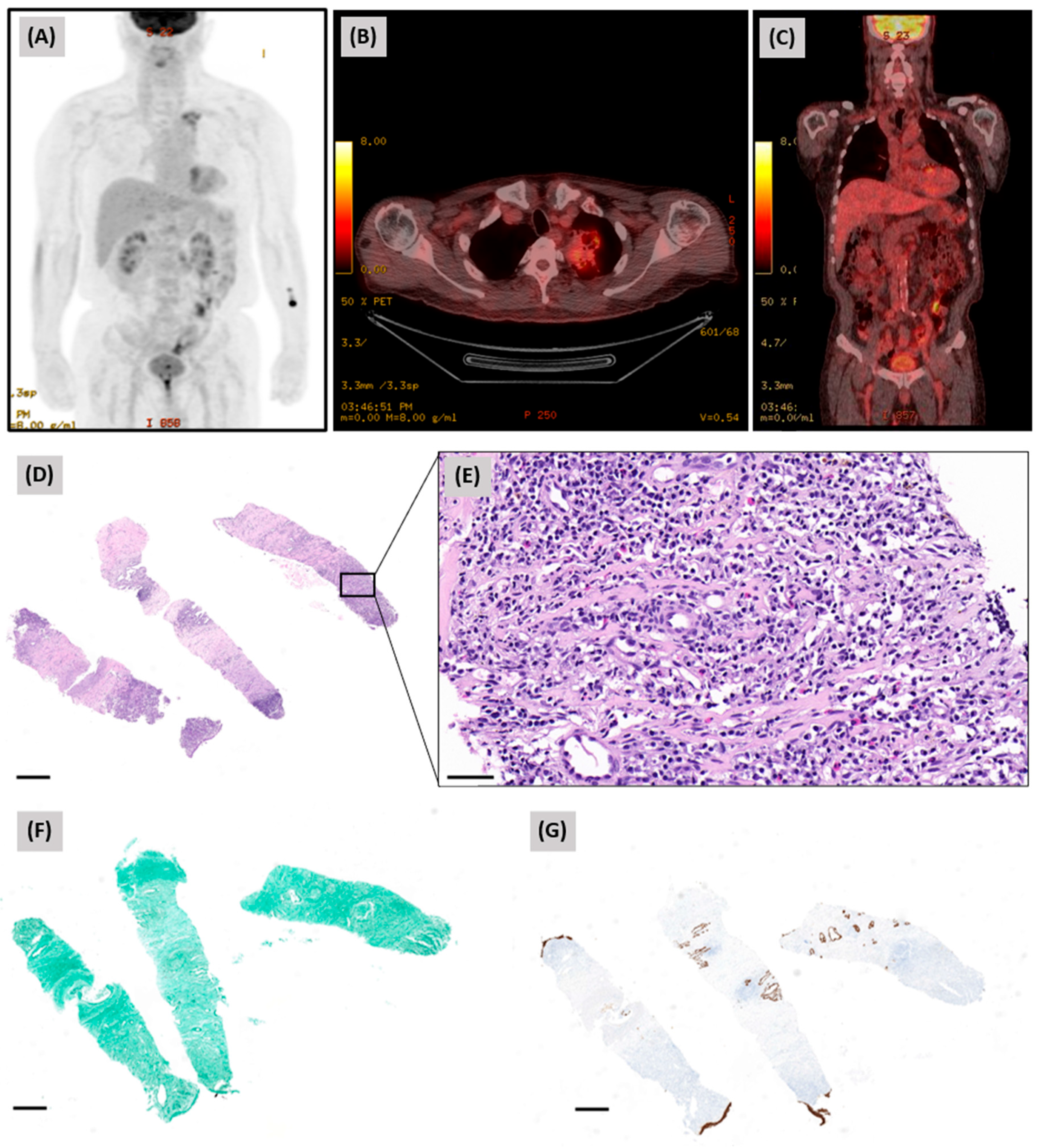 Diagnostics 16 03018 g002 Diagnostics 16 03018 g002