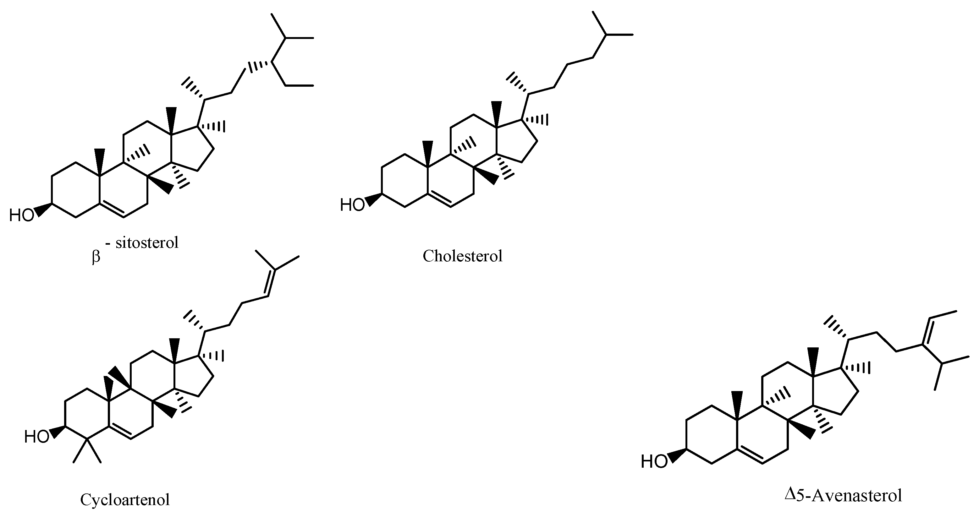Dietetics 03 00011 g002