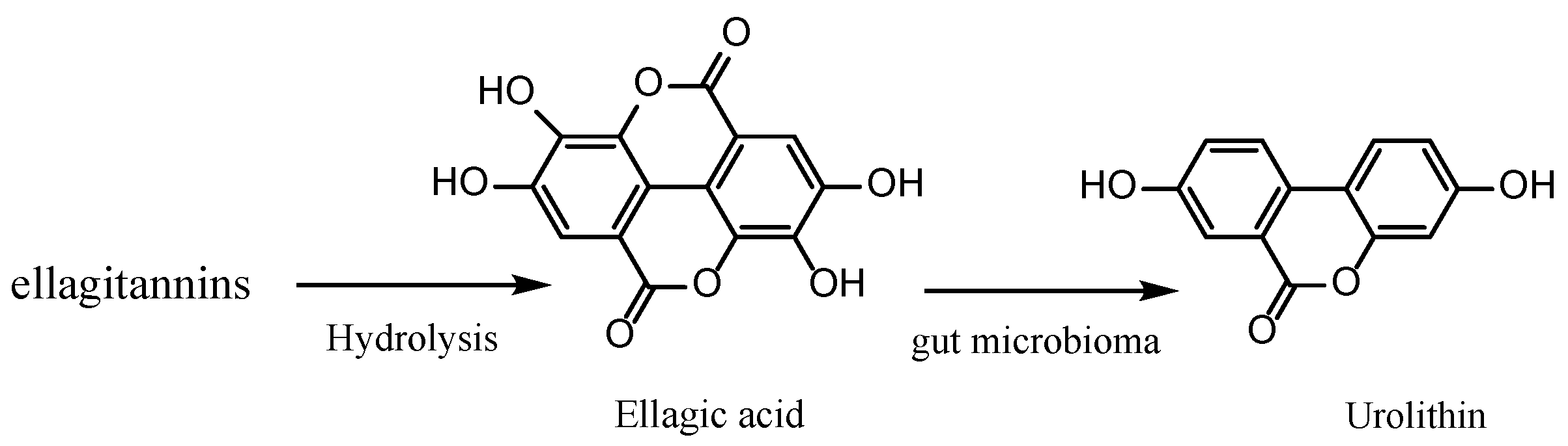 Dietetics 03 00011 g003