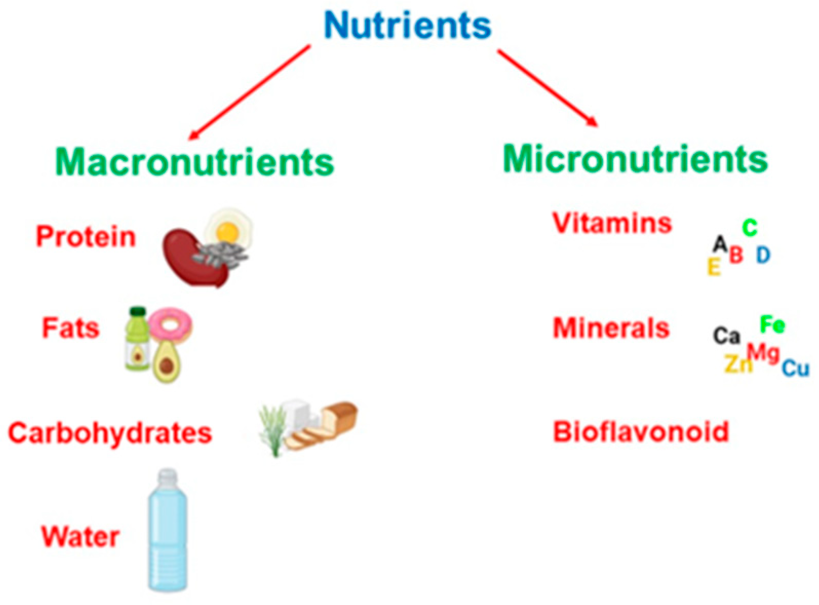 Dietetics 03 00023 g002 Dietetics 03 00023 g002