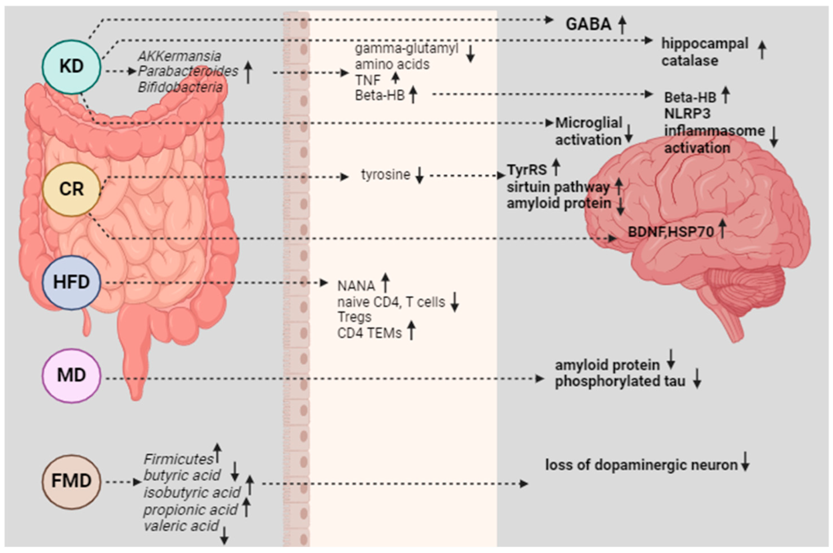 Dietetics 03 00023 g003 Dietetics 03 00023 g003