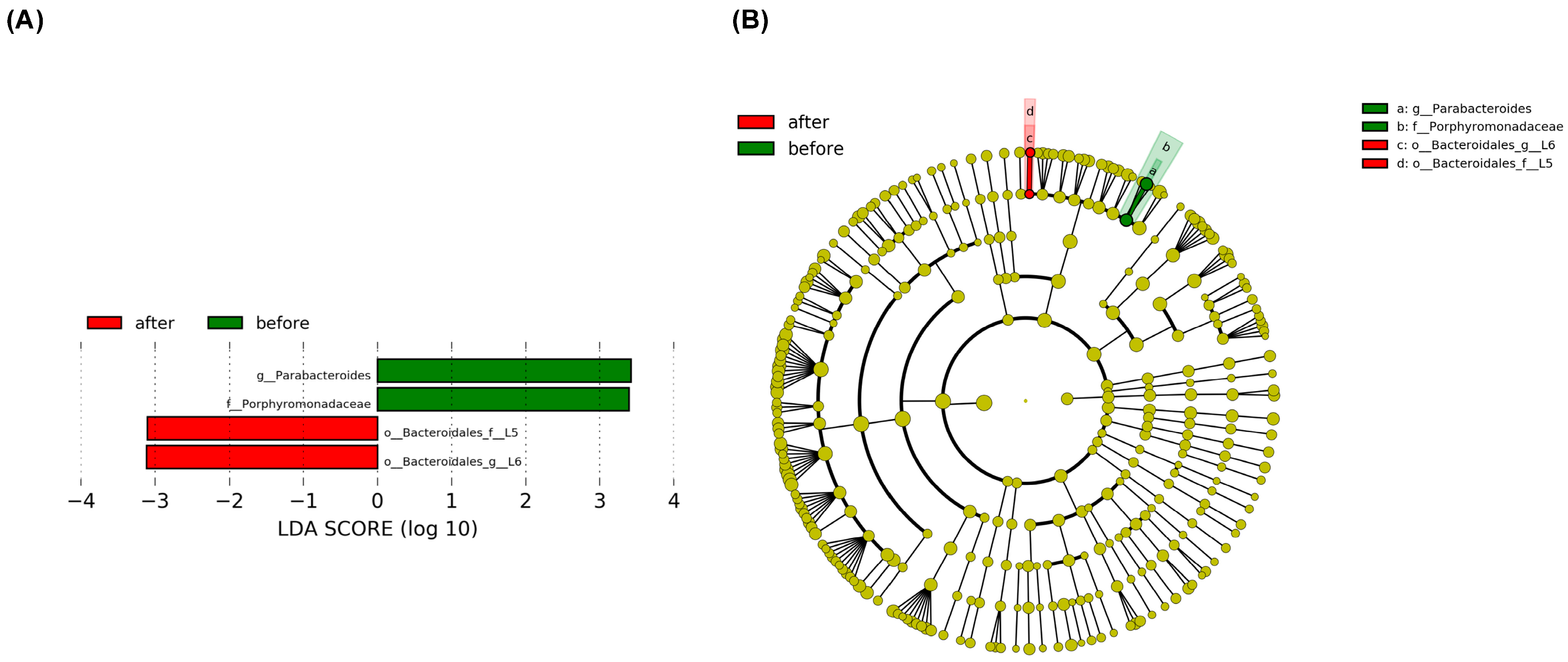 Dietetics 04 00001 g004