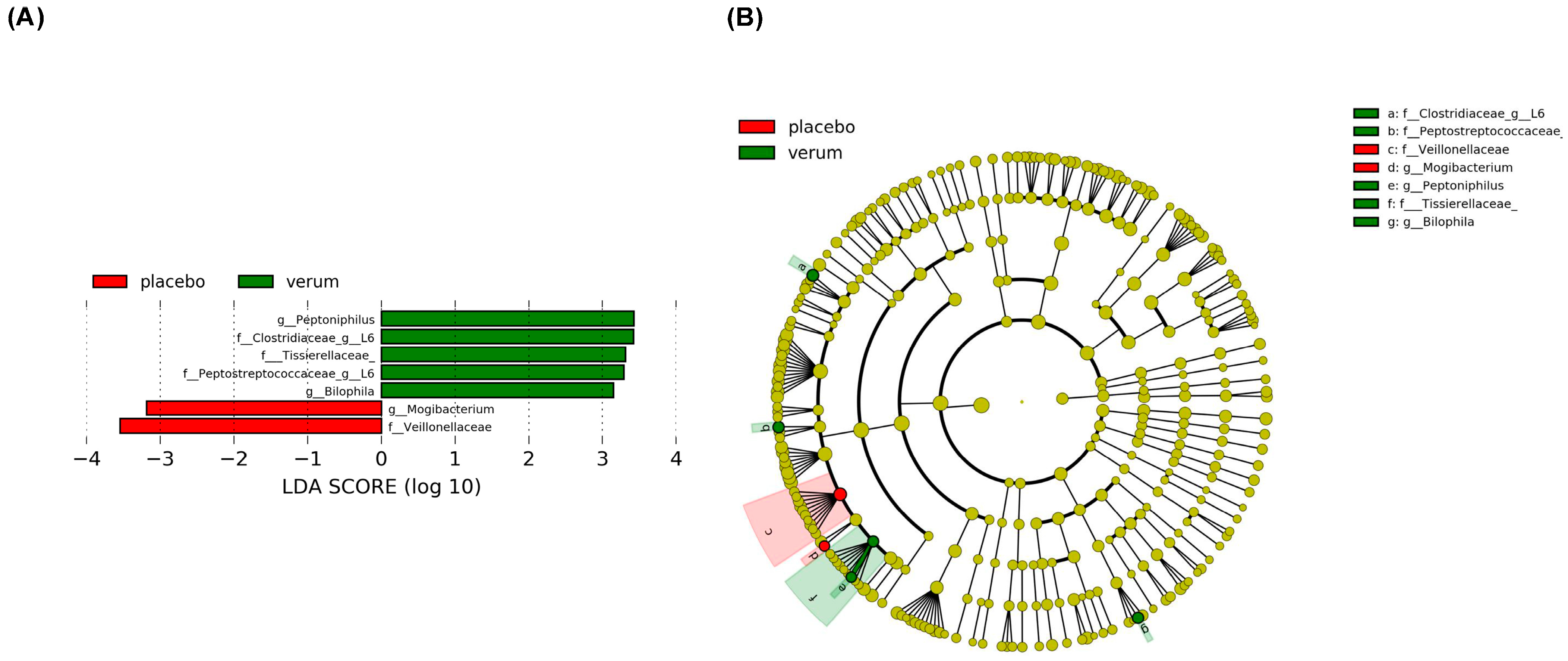 Dietetics 04 00001 g005