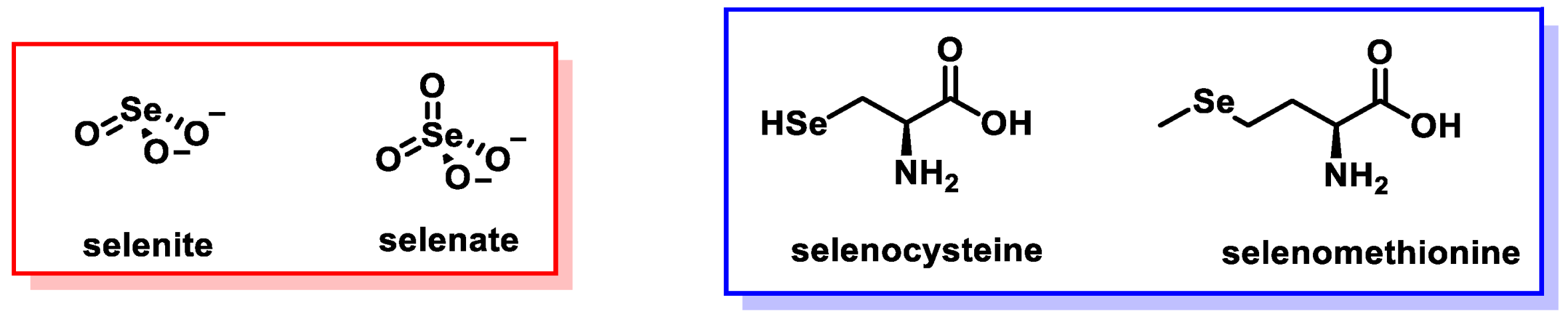 Dietetics 04 00006 g001
