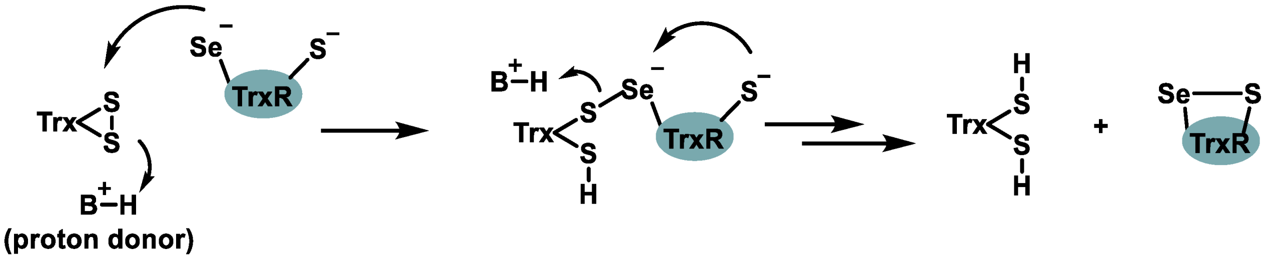 Dietetics 04 00006 g008