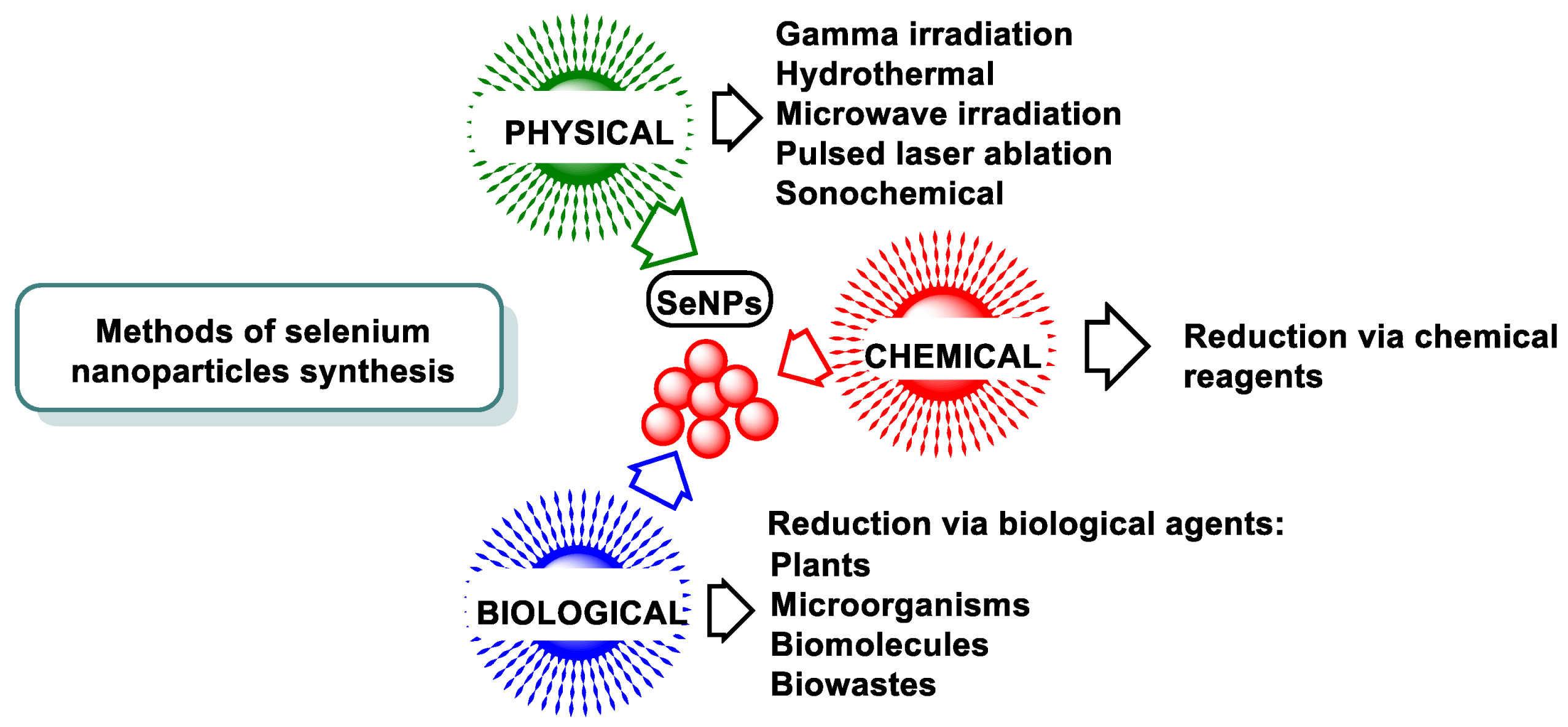 Dietetics 04 00006 g013