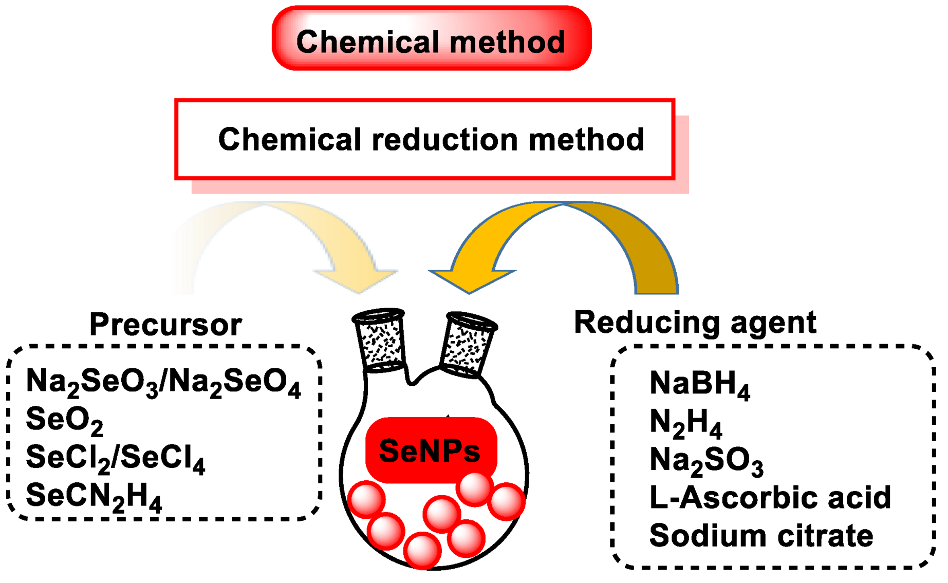 Dietetics 04 00006 g014
