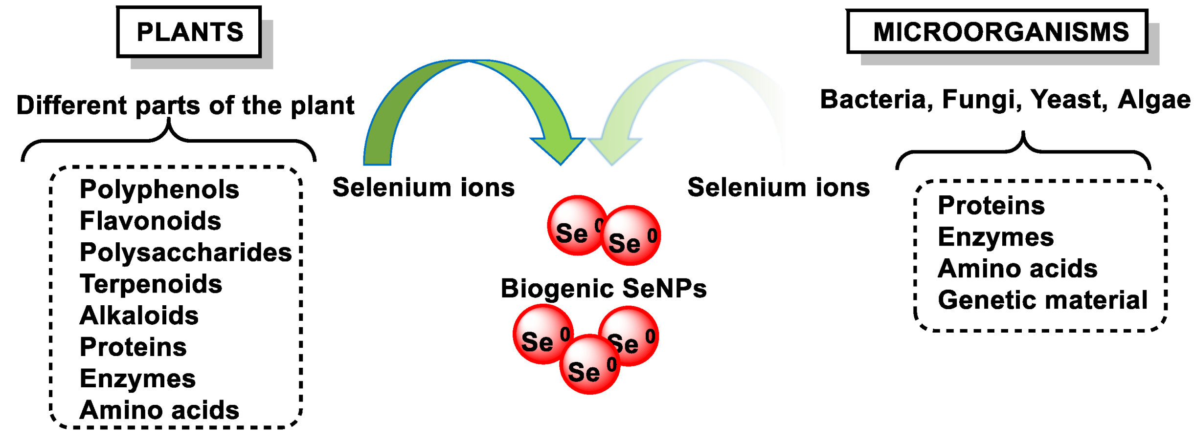 Dietetics 04 00006 g016