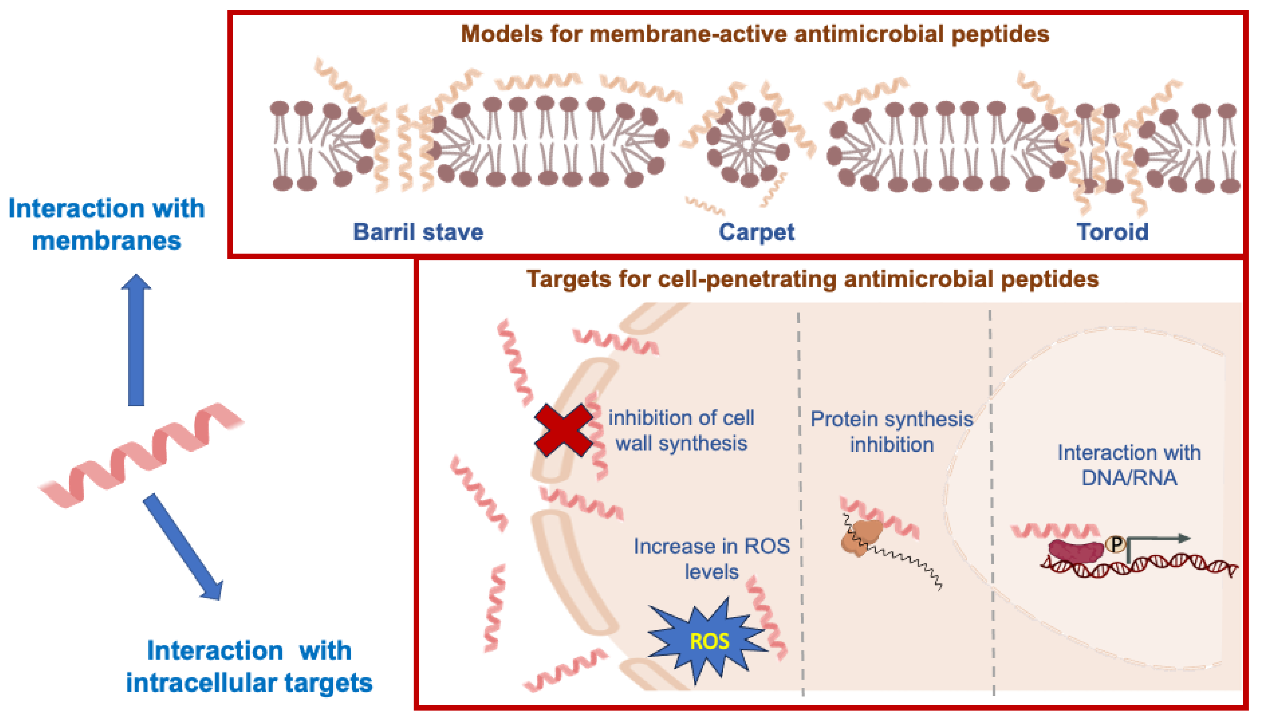 Dietetics 04 00009 g001
