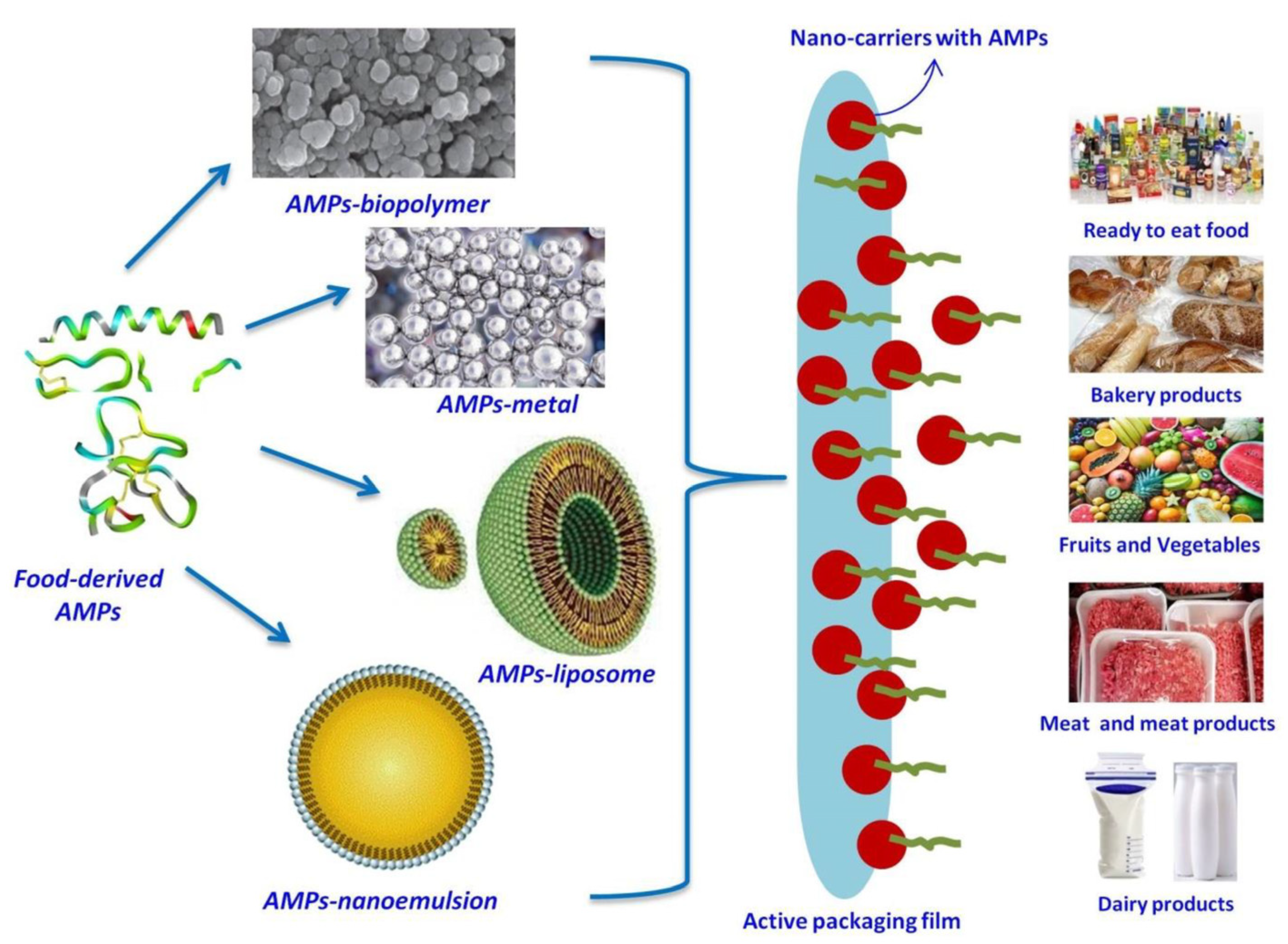 Dietetics 04 00009 g011