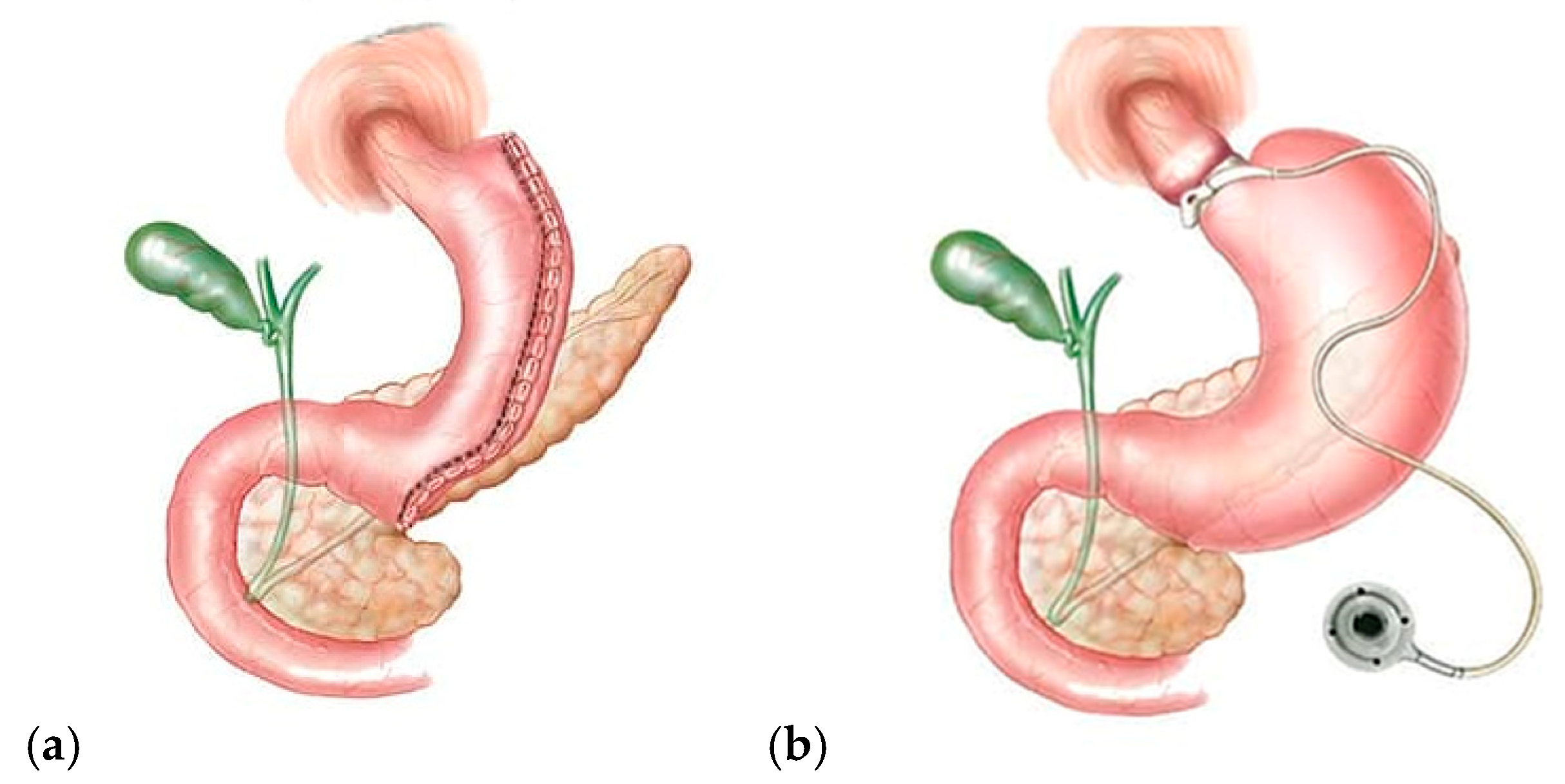 Dietetics 04 00049 g002 Dietetics 04 00049 g002