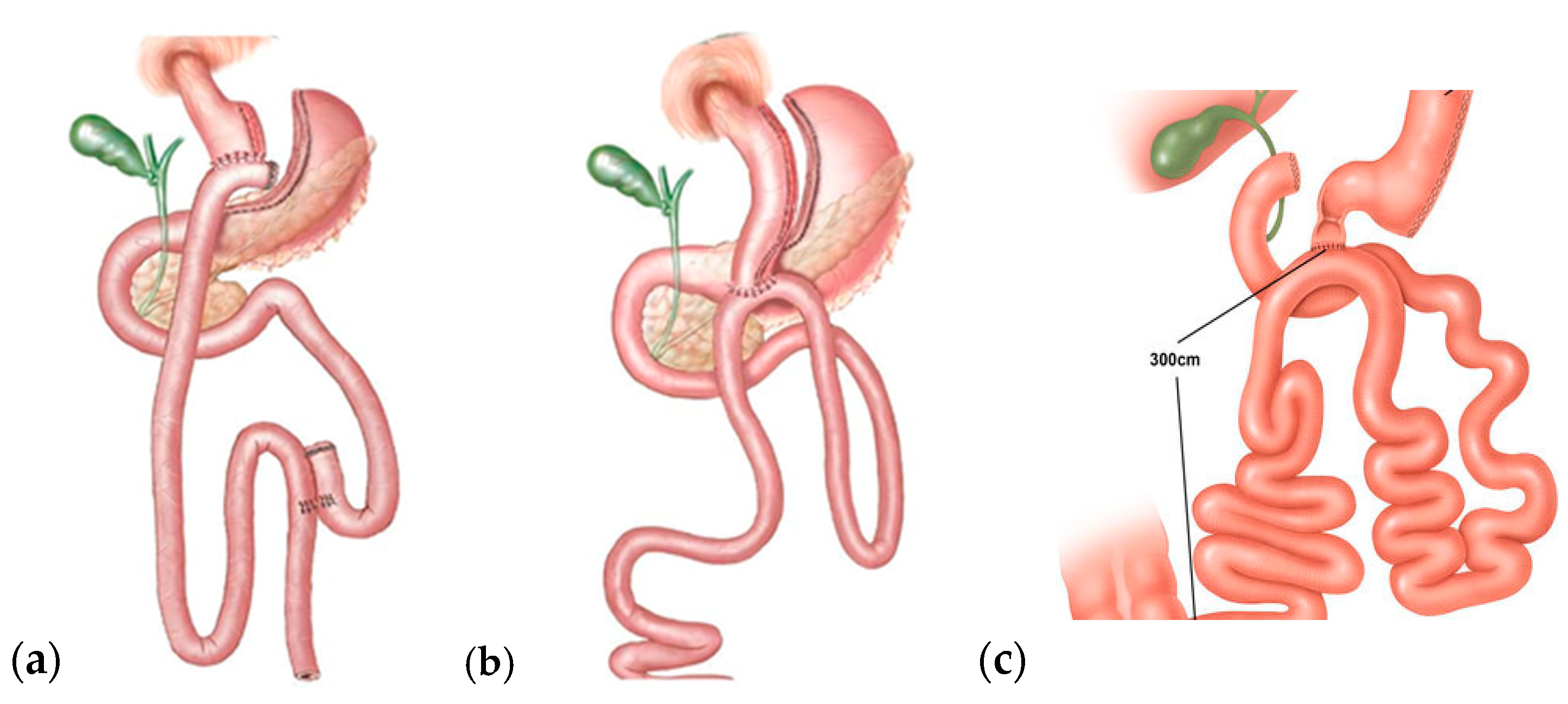 Dietetics 04 00049 g004 Dietetics 04 00049 g004