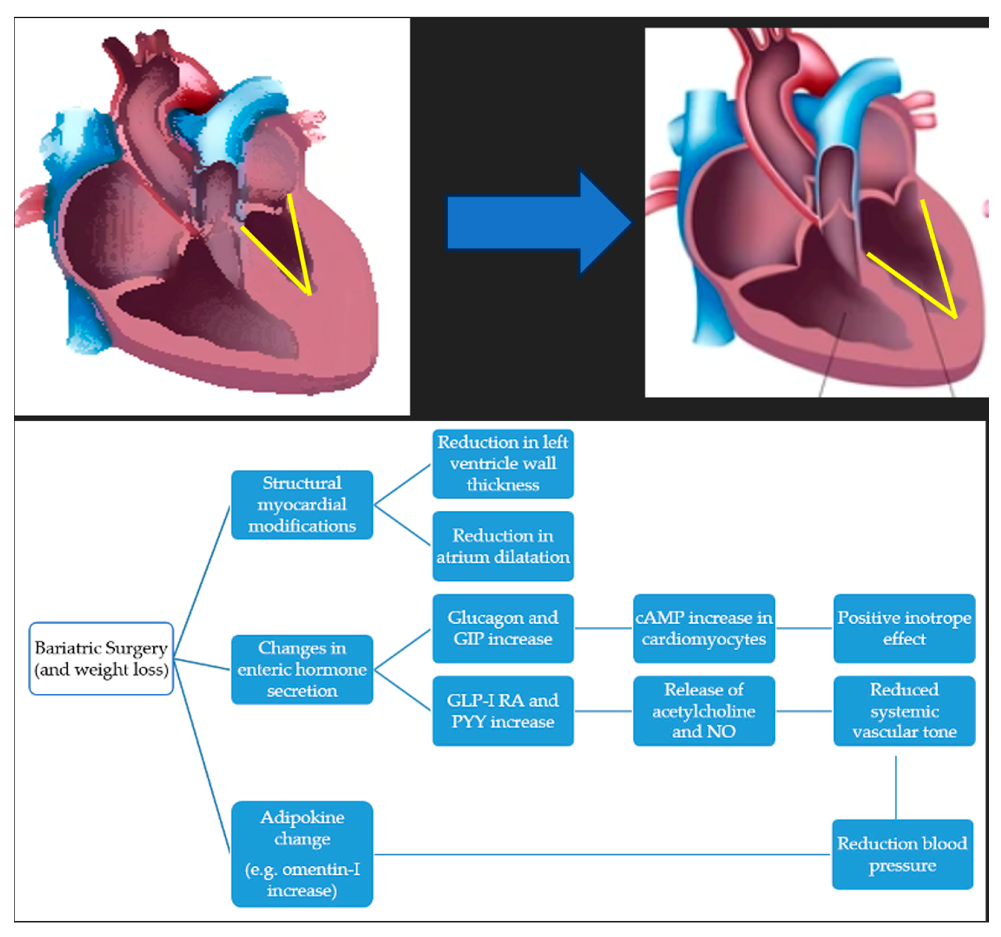 Dietetics 04 00049 g007 Dietetics 04 00049 g007