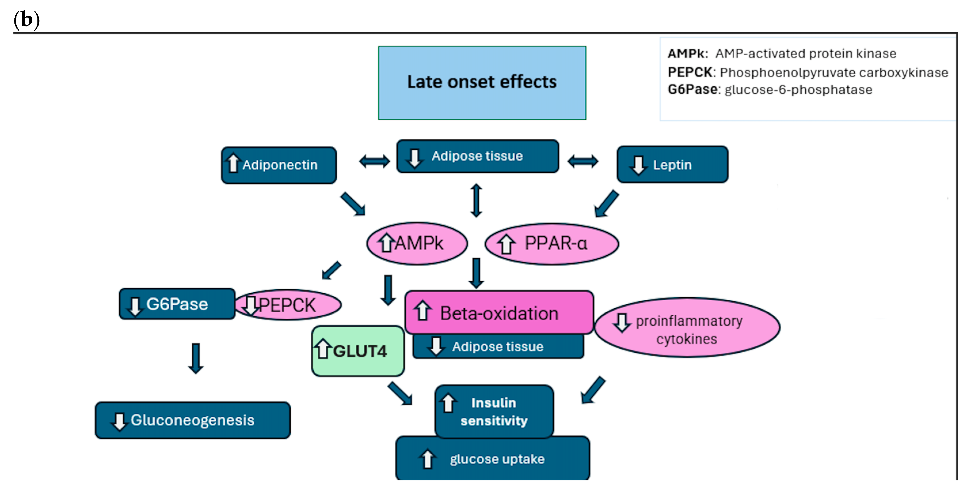 Dietetics 04 00049 g008b Dietetics 04 00049 g008b