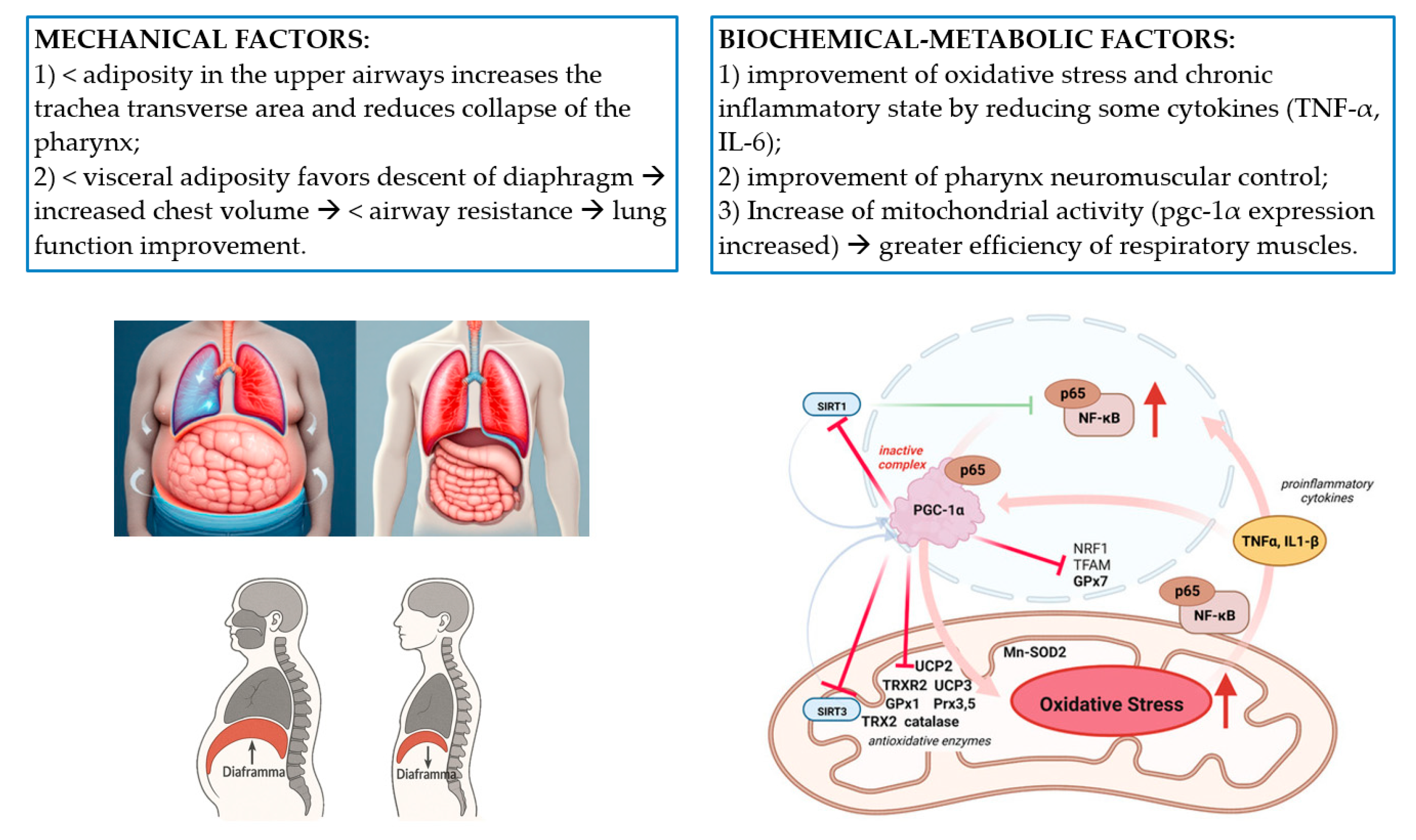 Dietetics 04 00049 g009 Dietetics 04 00049 g009