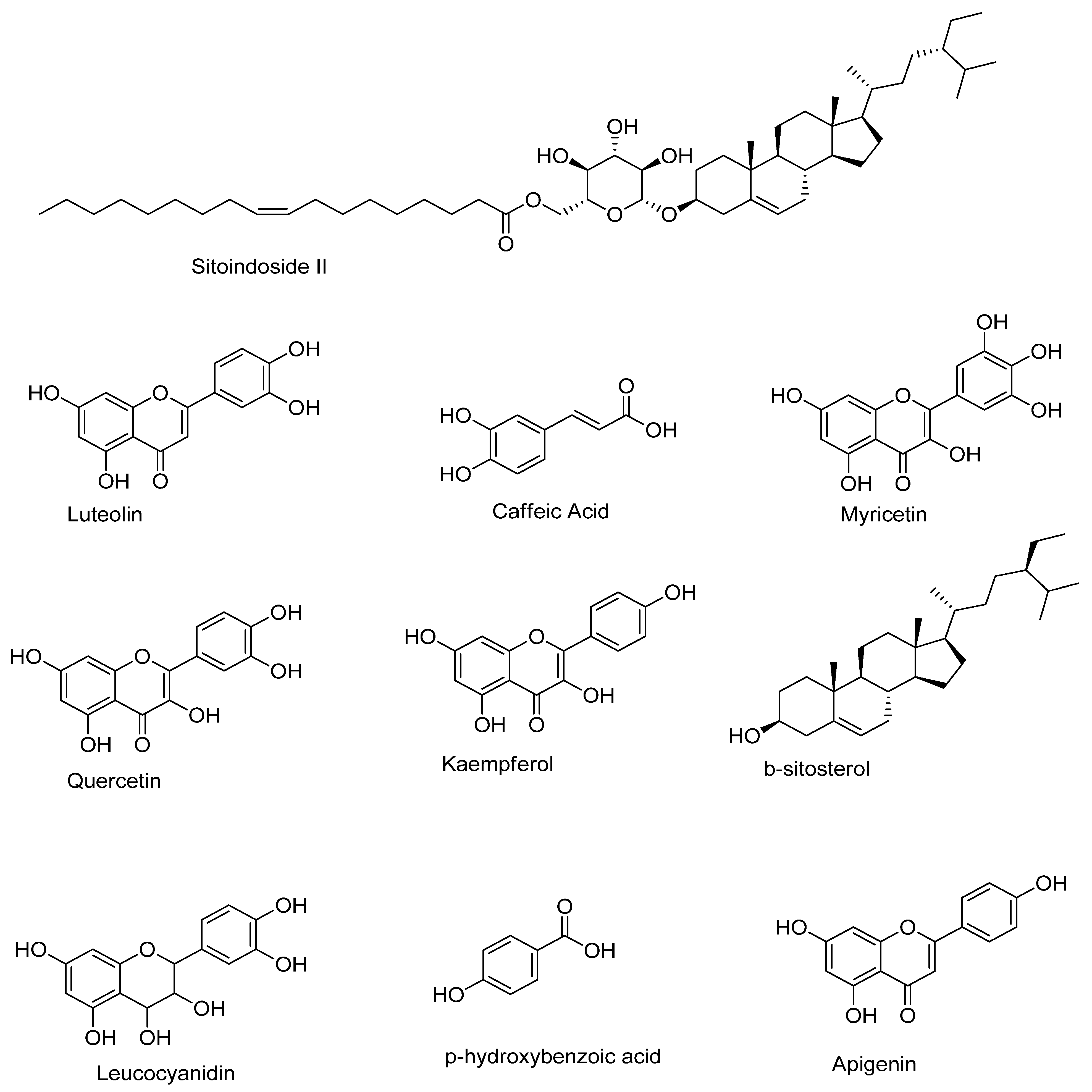 Dietetics 05 00003 g001 Dietetics 05 00003 g001