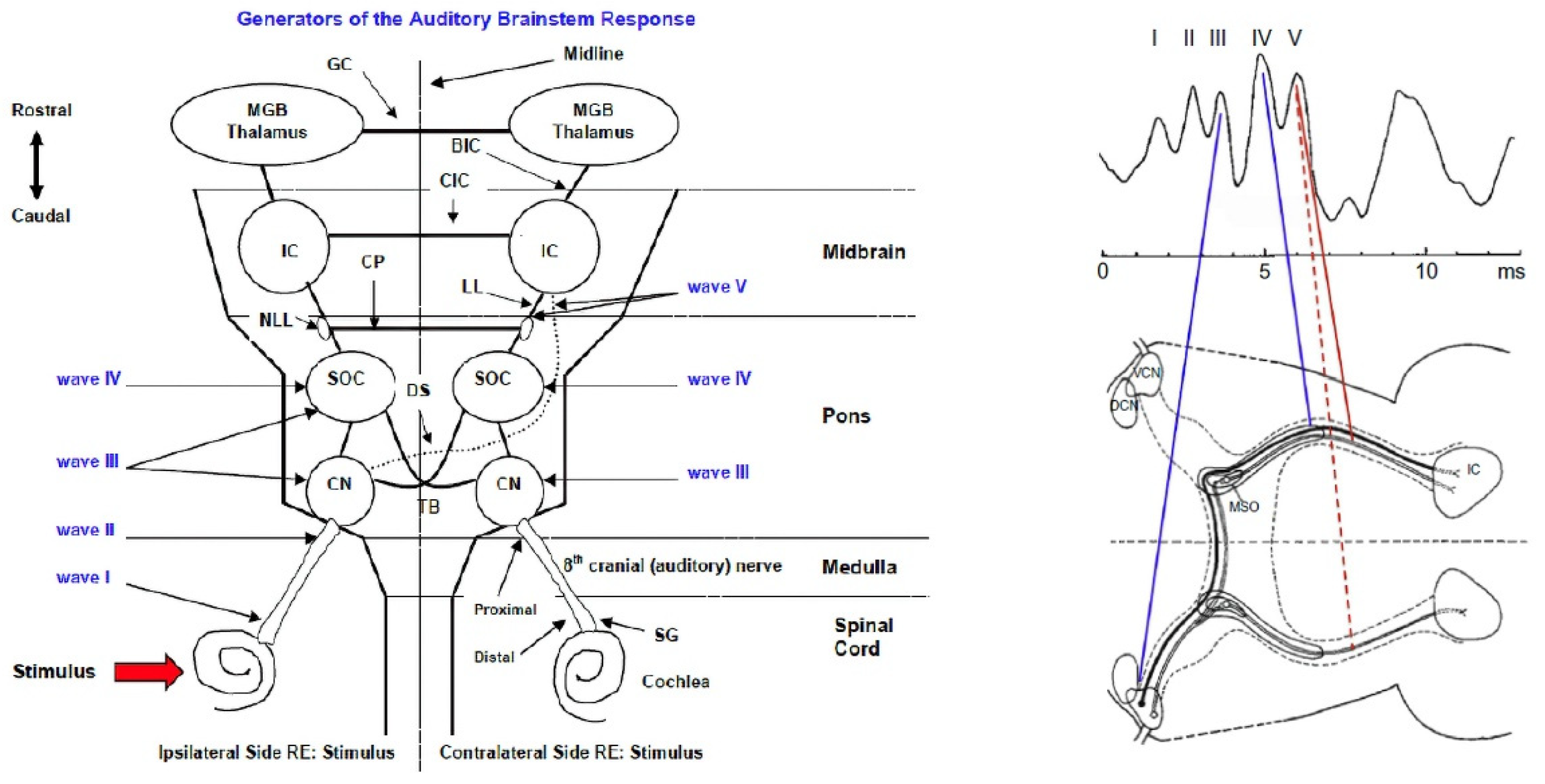Digital 01 00014 g001 550