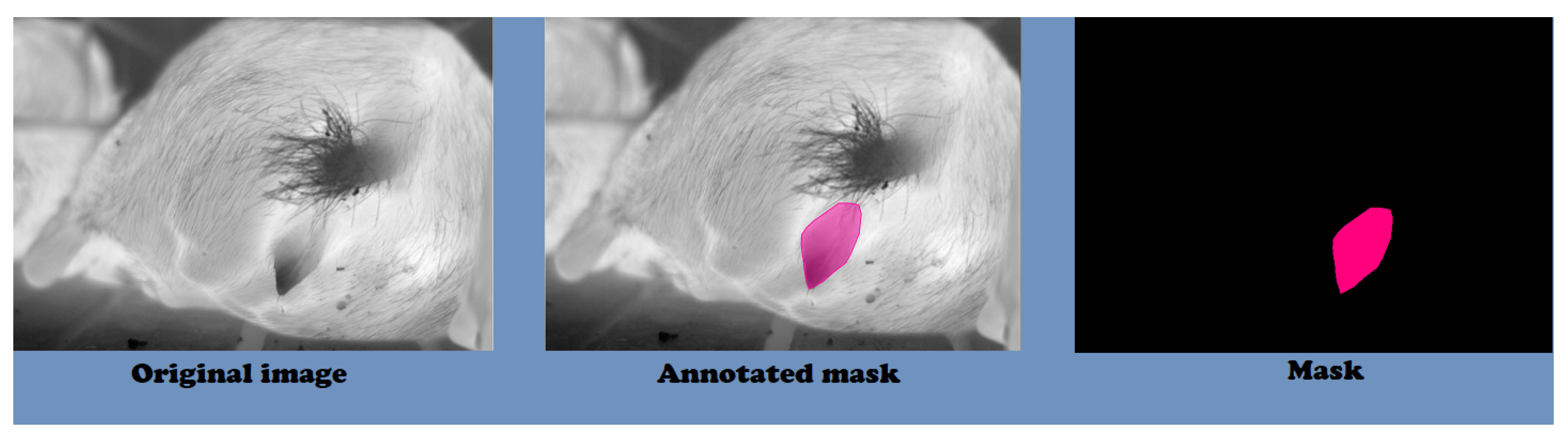 Digital 04 00044 g002