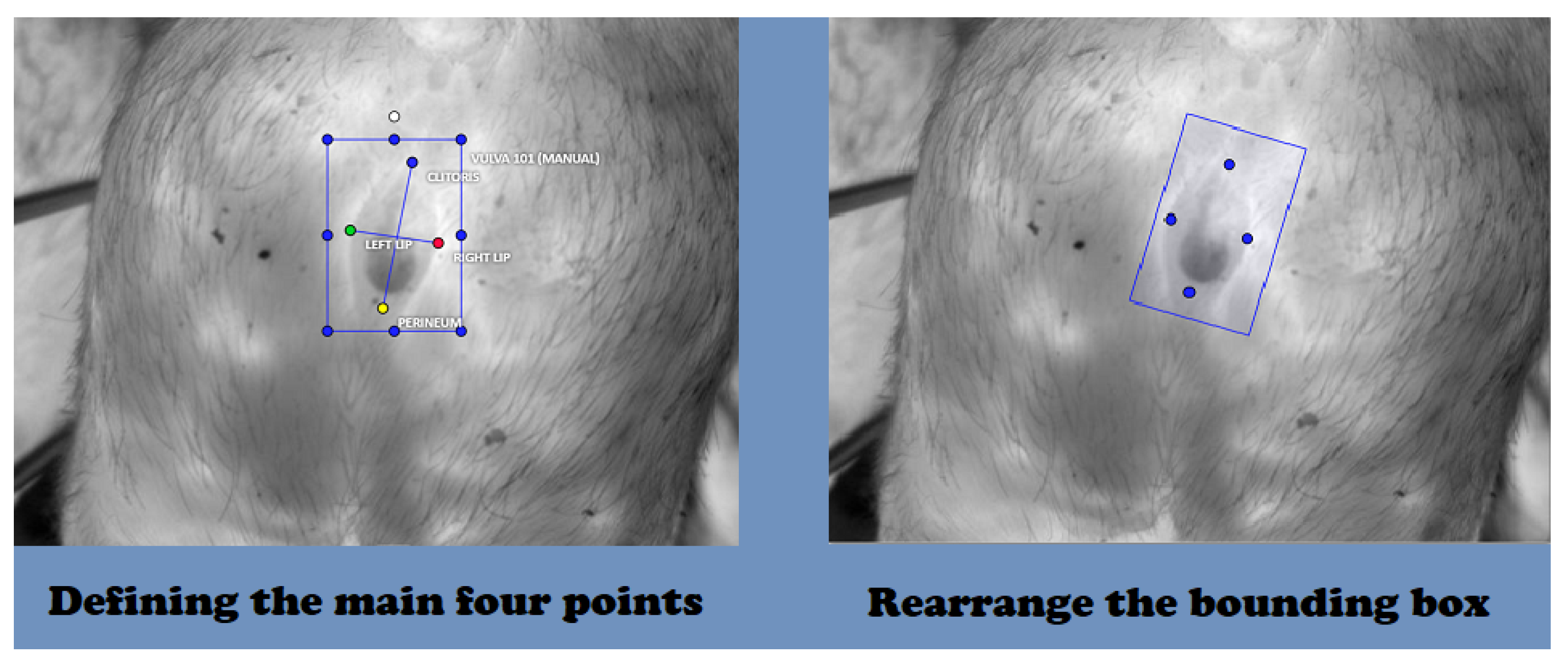 Digital 04 00044 g003