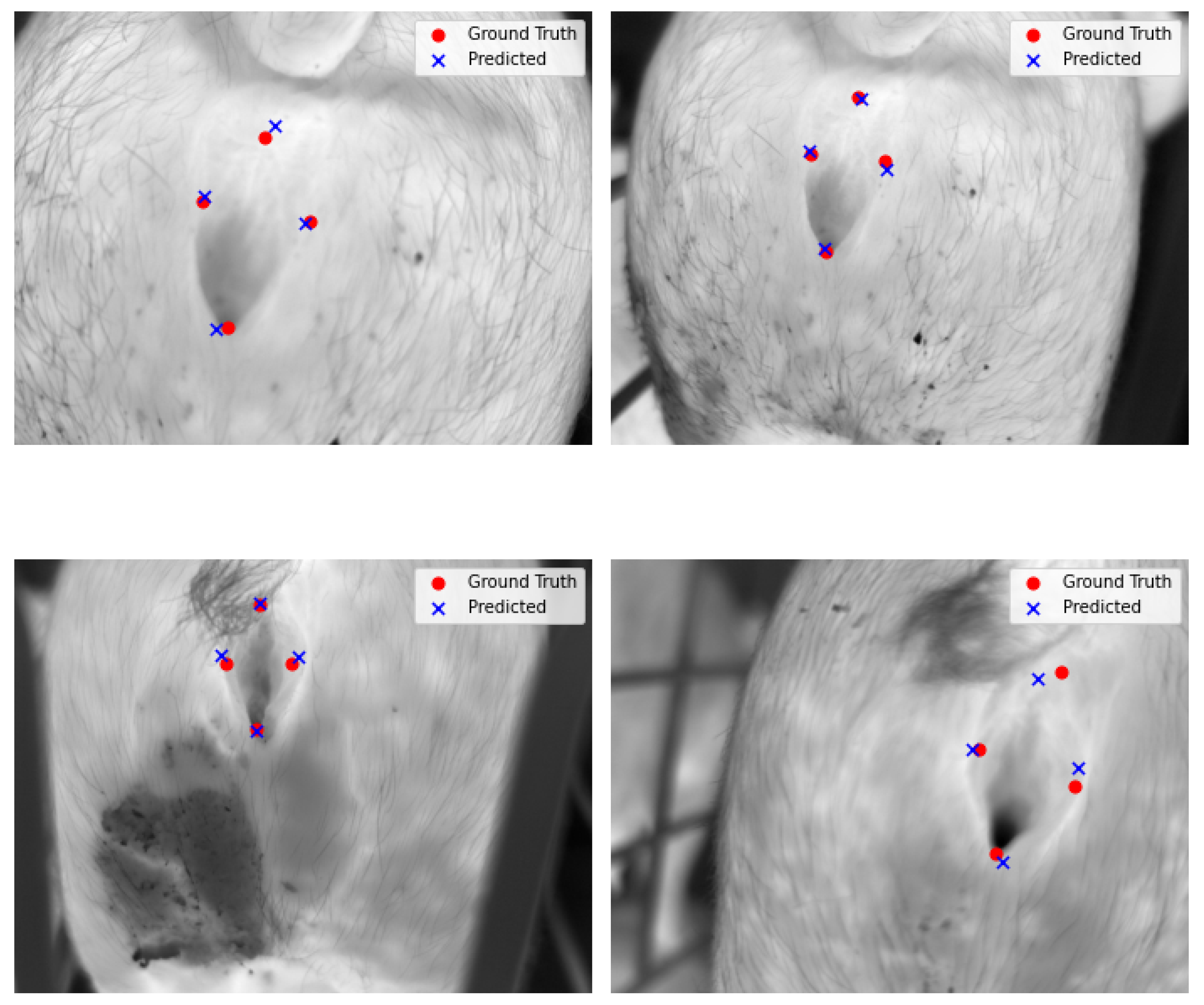 Digital 04 00044 g008