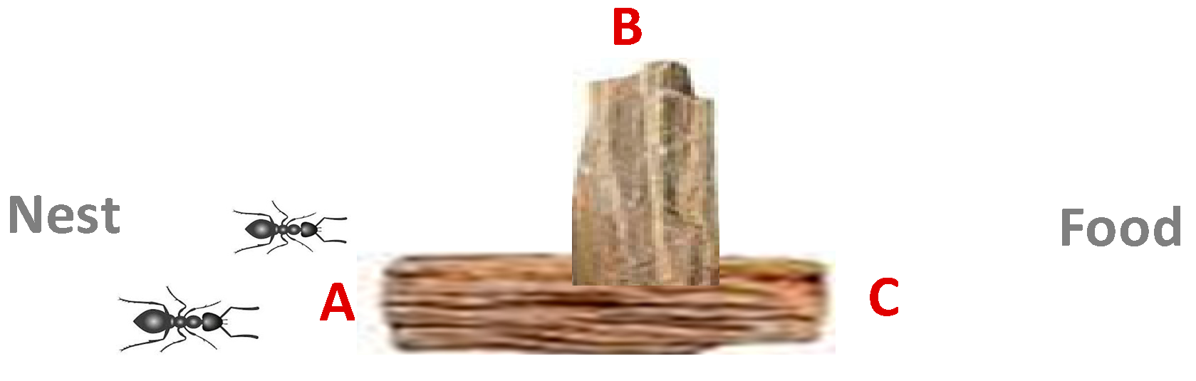 Digital 05 00006 g001