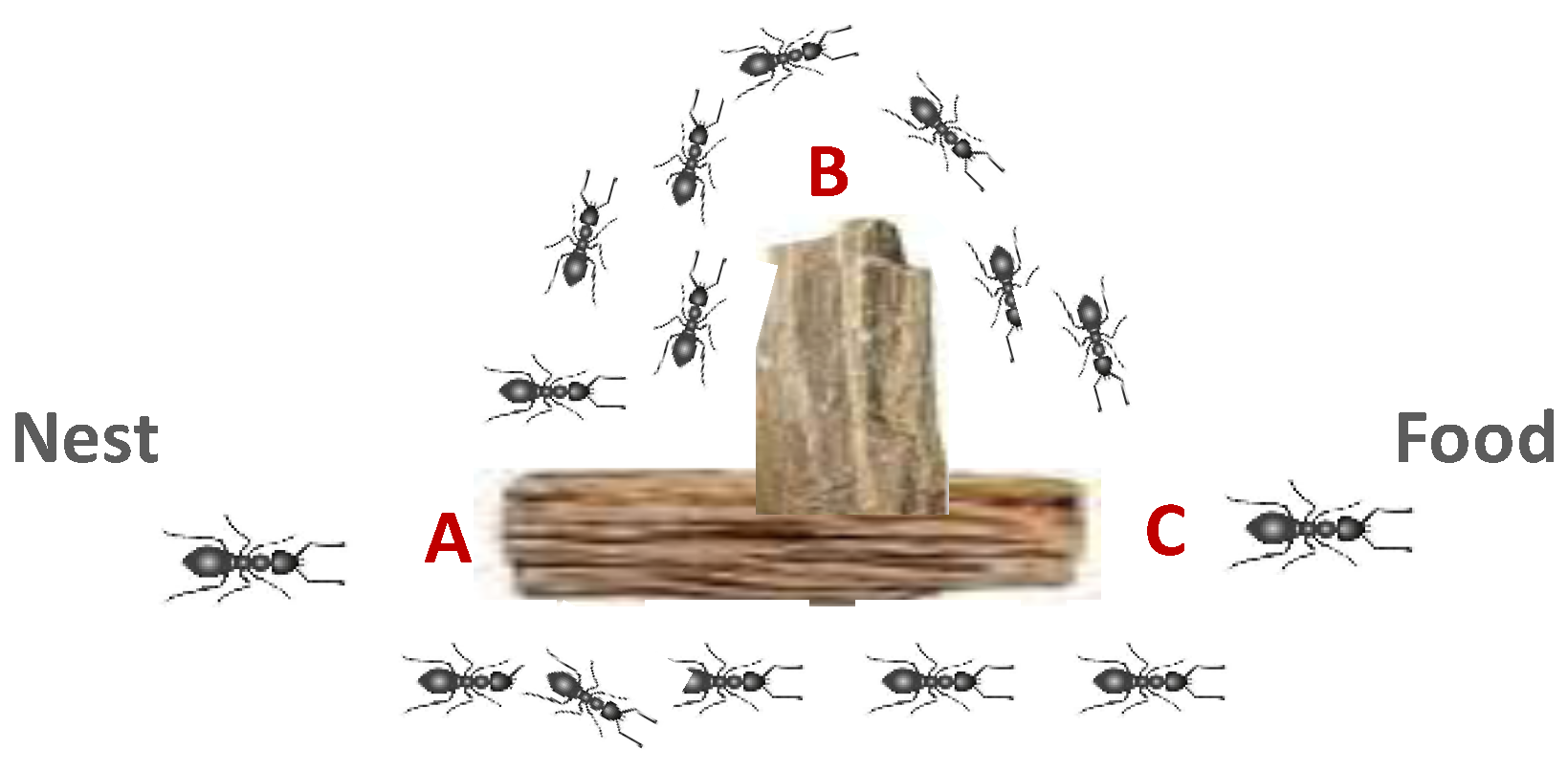 Digital 05 00006 g002