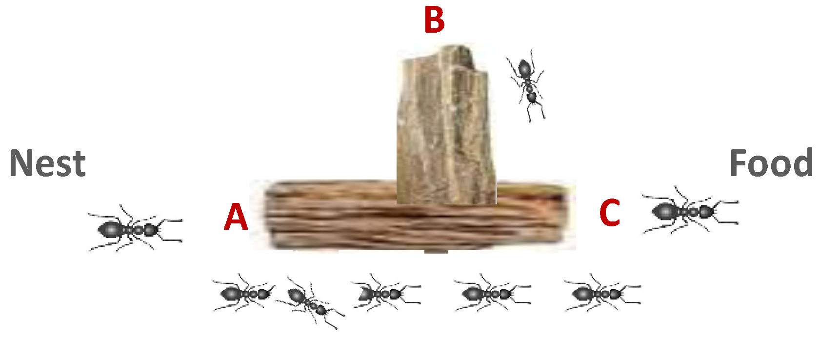 Digital 05 00006 g003