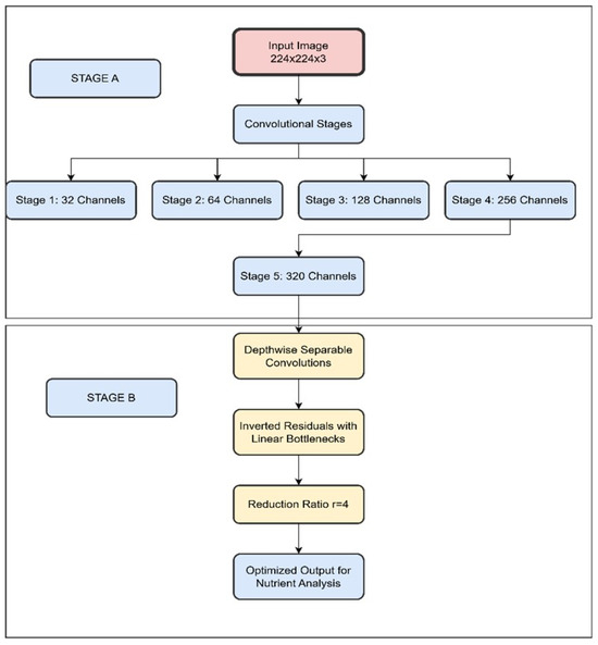 Lightweight Interpretable Deep Learning Model for Nutrient Analysis in ...