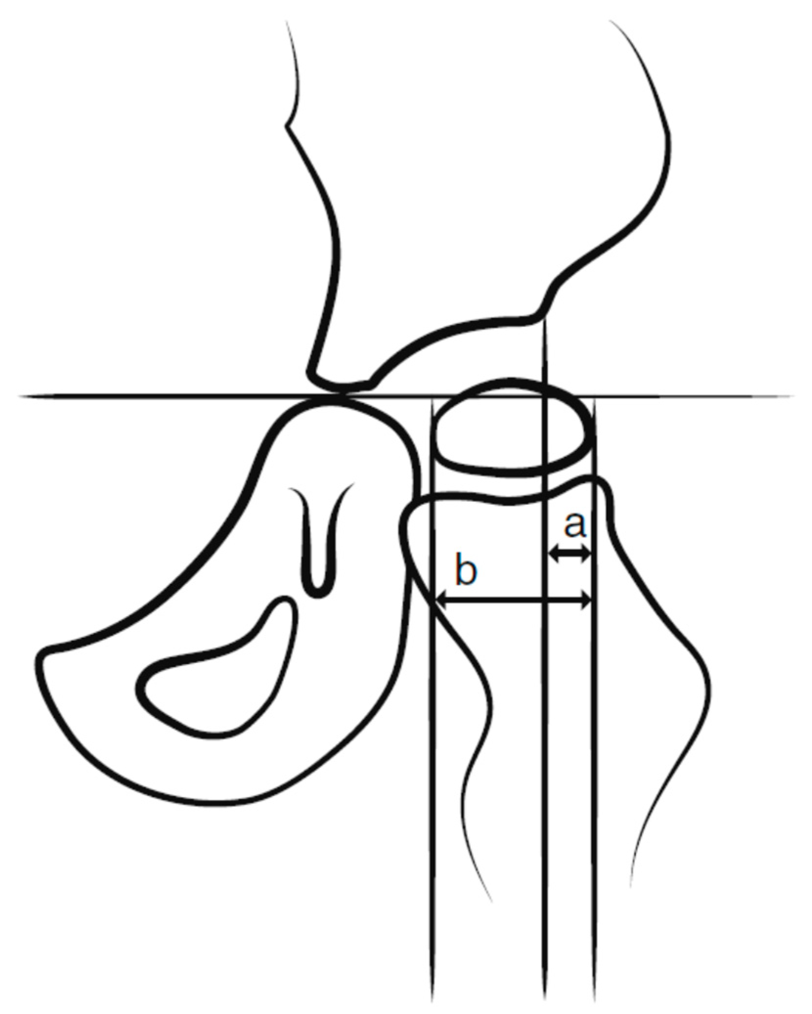 Disabilities 01 00012 g002 550