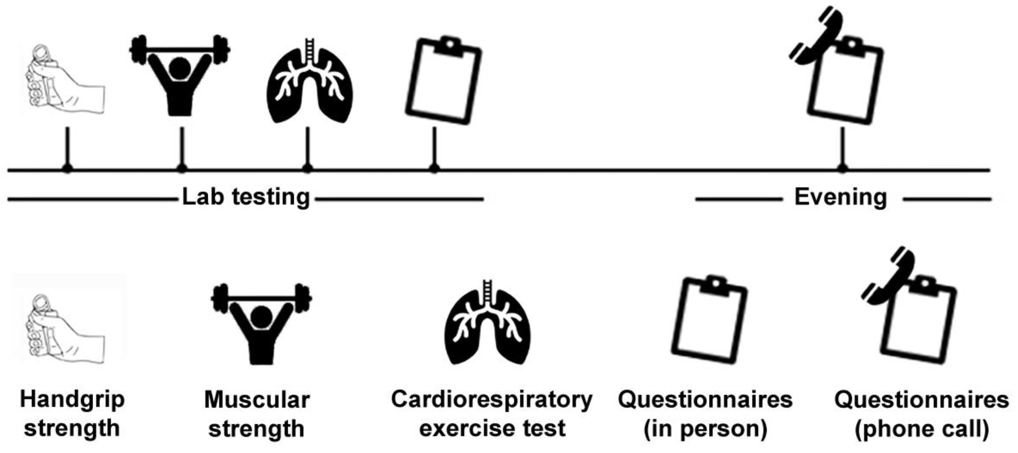 Disabilities 04 00021 g001
