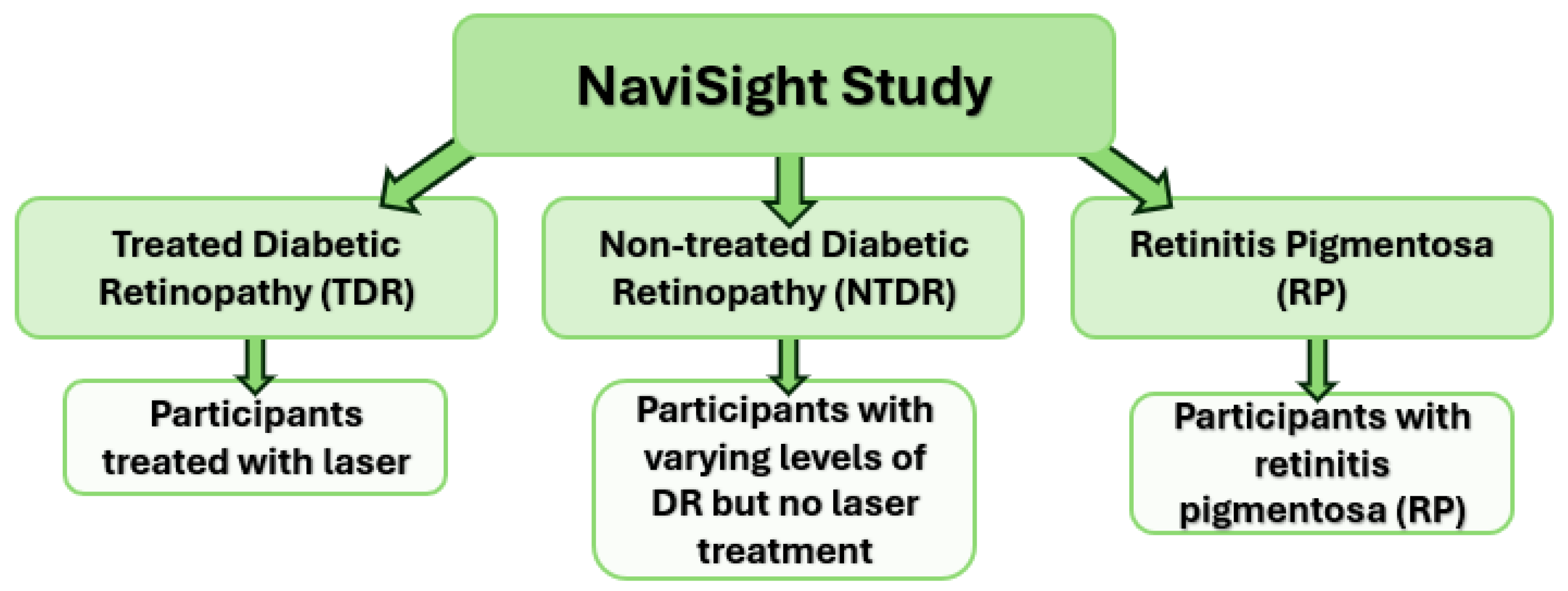 Disabilities 04 00032 g001