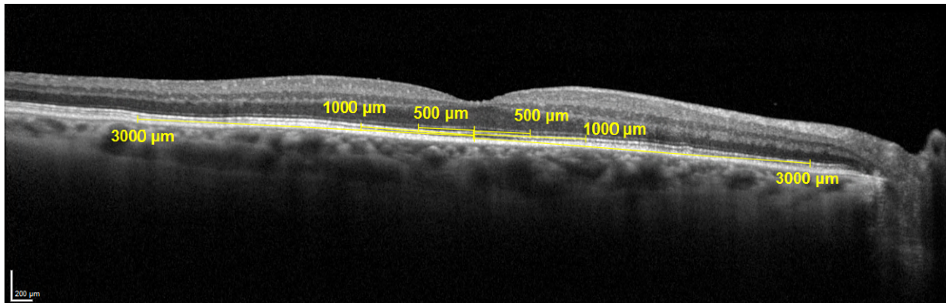 Disabilities 04 00032 g004