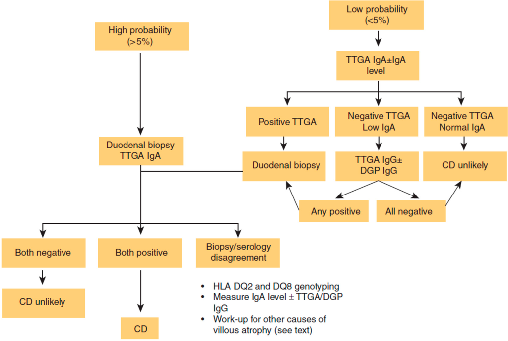 Diseases Free FullText Celiac Disease Diagnostic Standards and