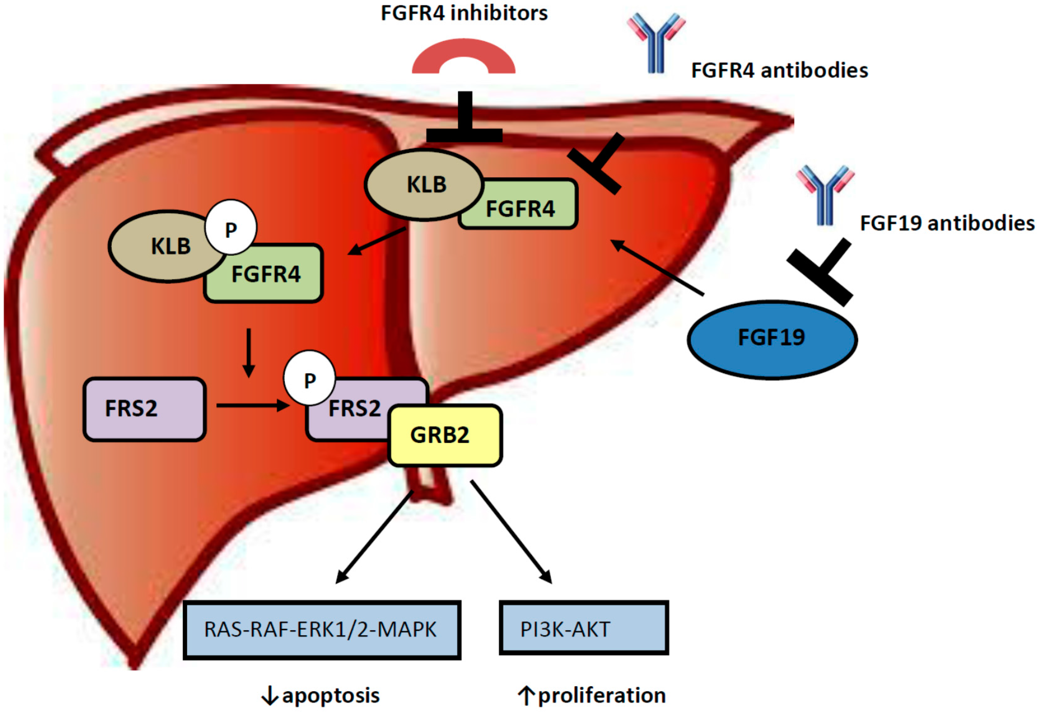 Diseases 03 00294 g001