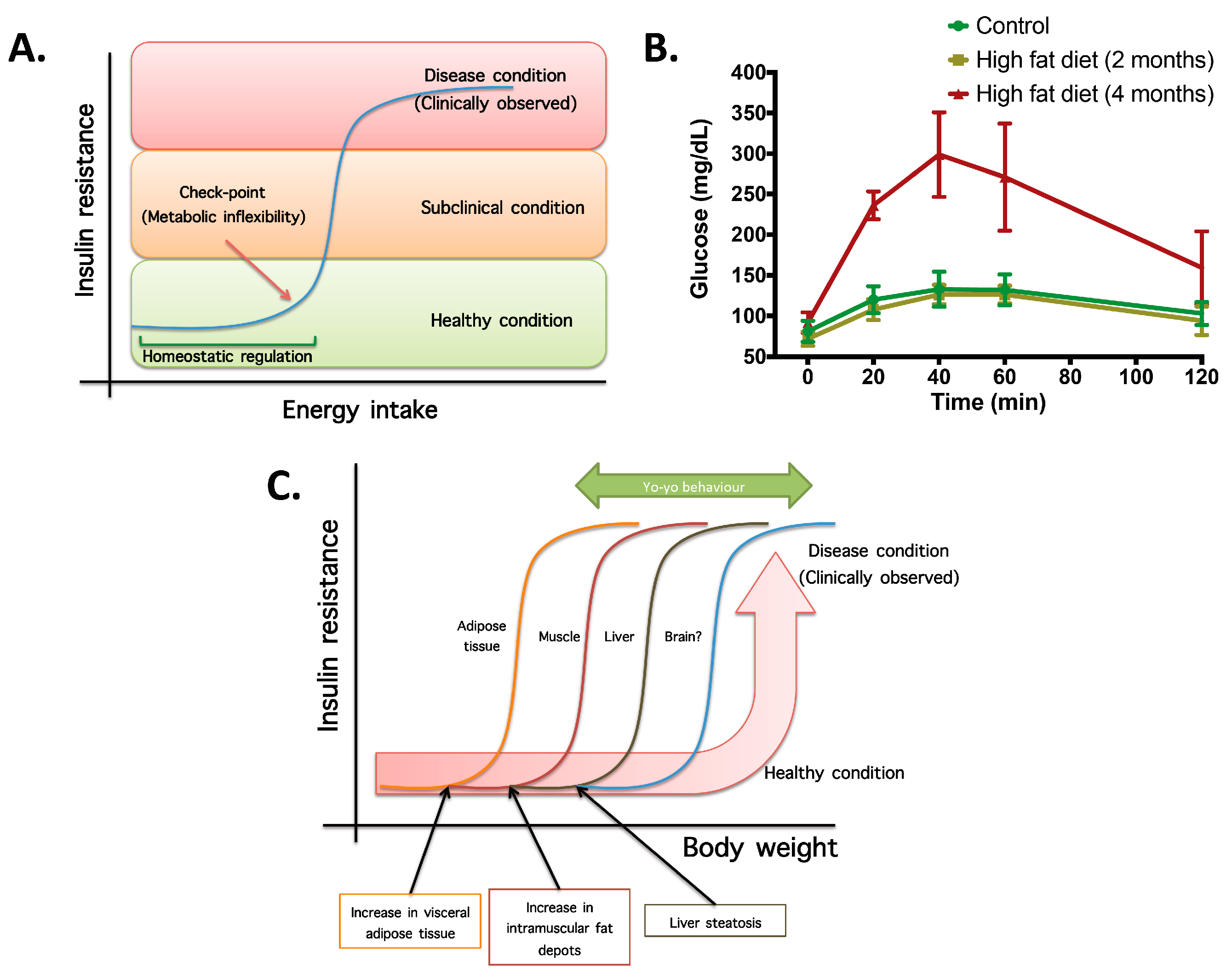 Diseases 04 00014 g001