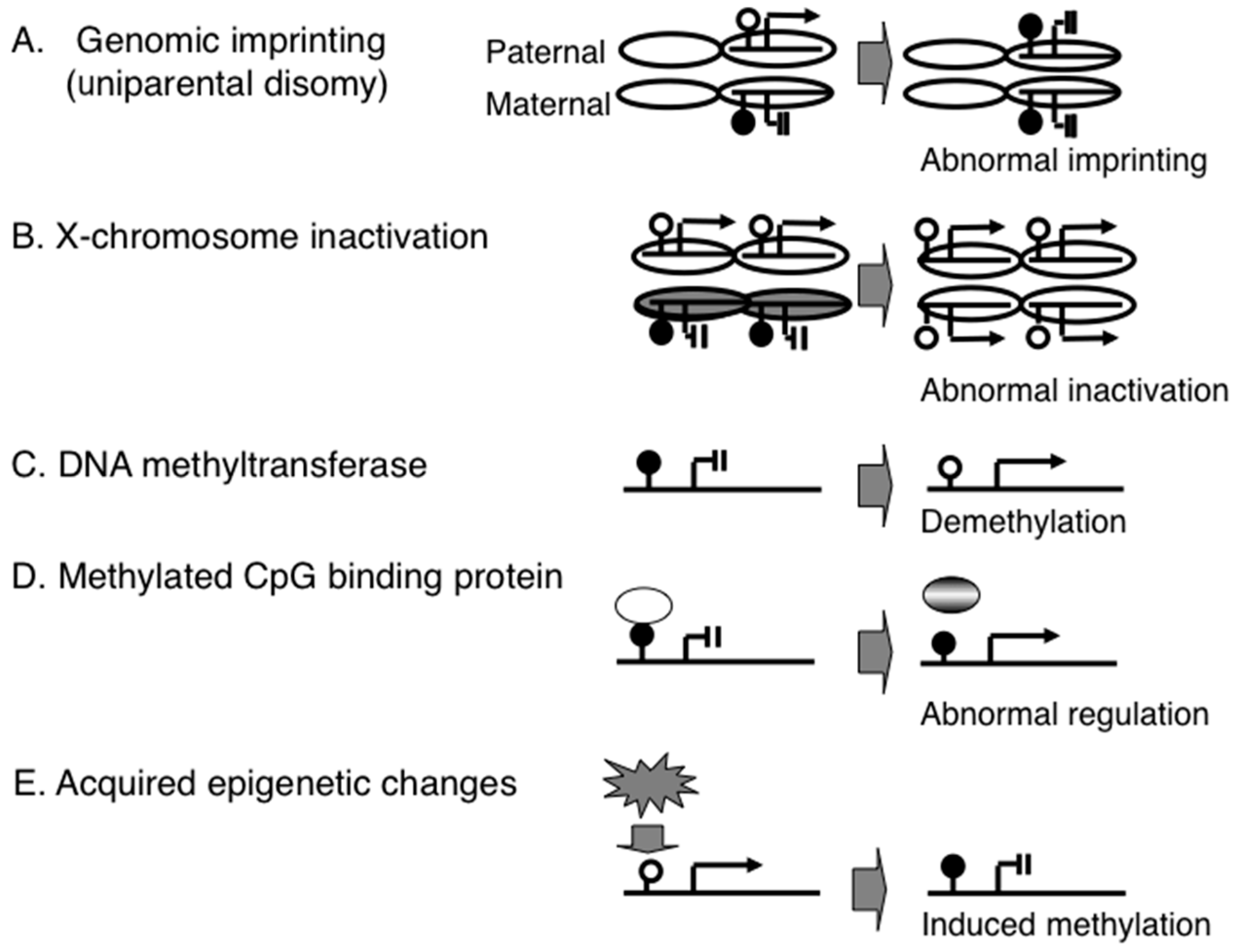 Diseases 04 00015 g001