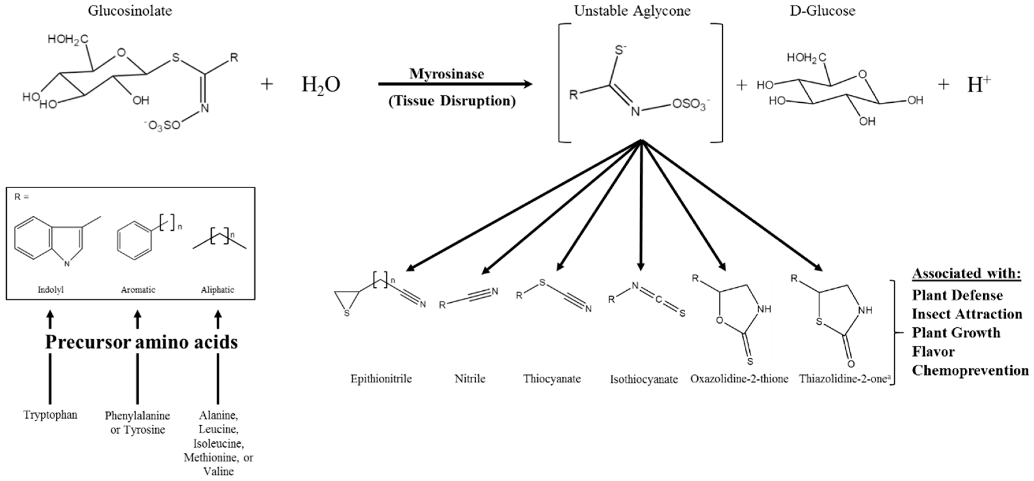 Diseases 04 00022 g001