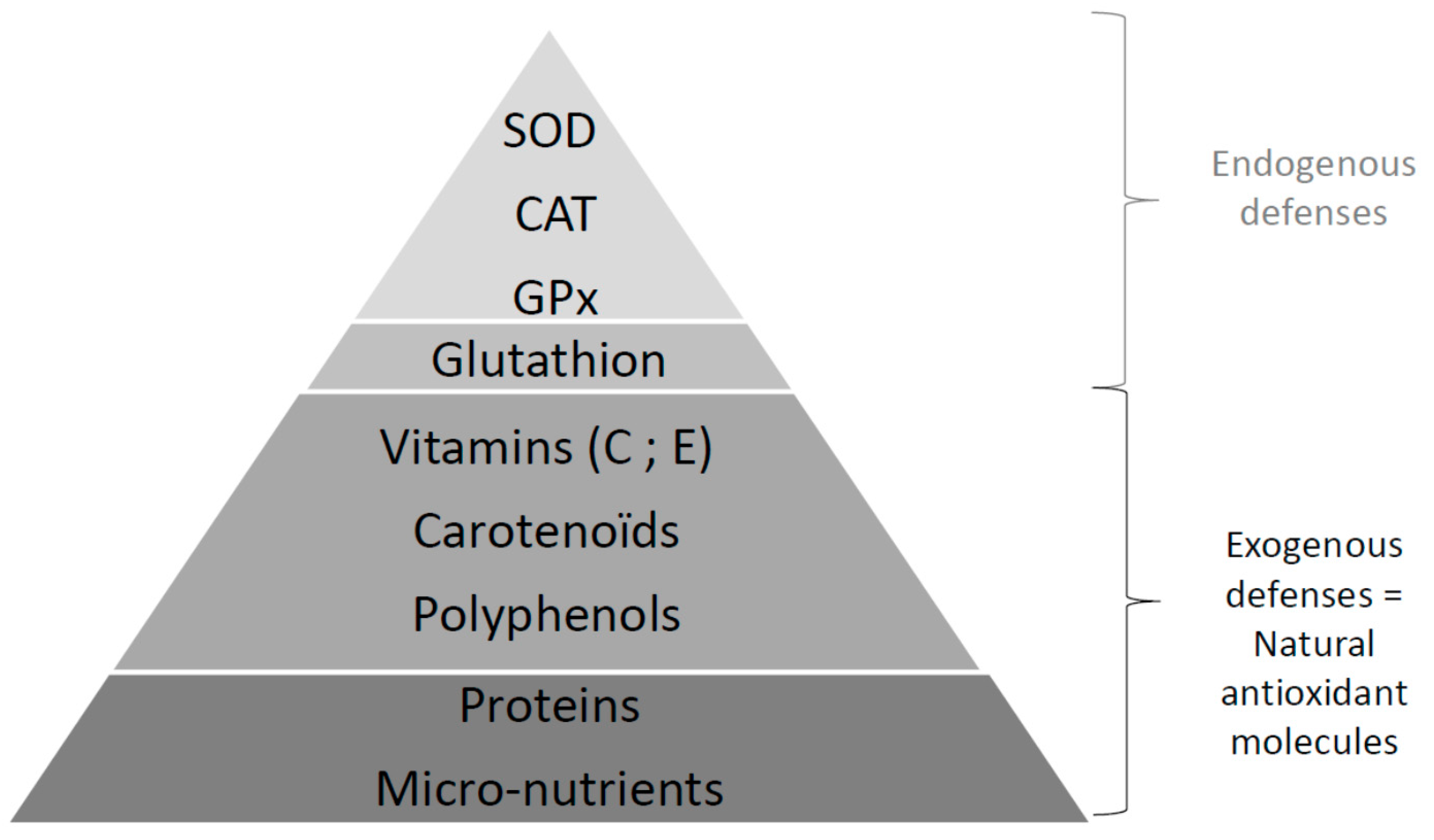 Diseases 04 00024 g003