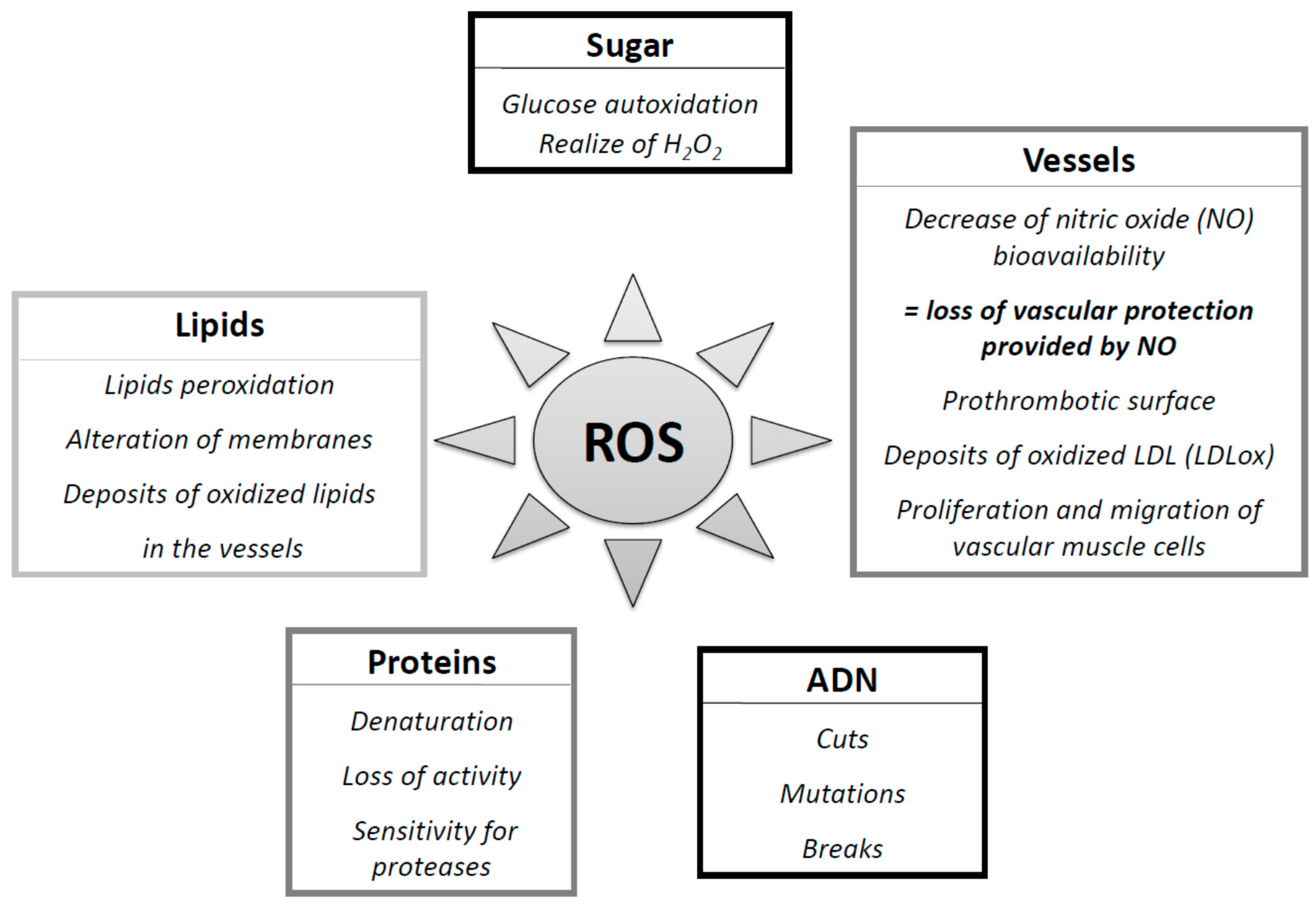 Diseases 04 00024 g005