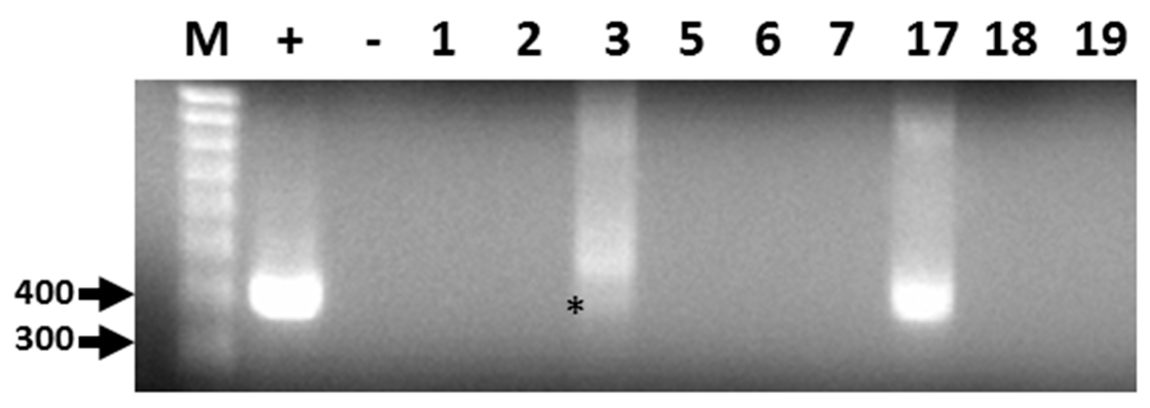 Diseases 05 00007 g001