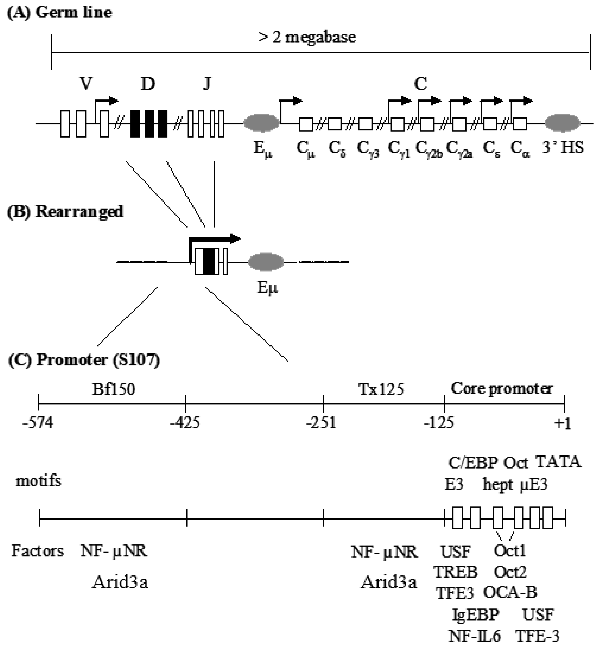Diseases 05 00034 g001