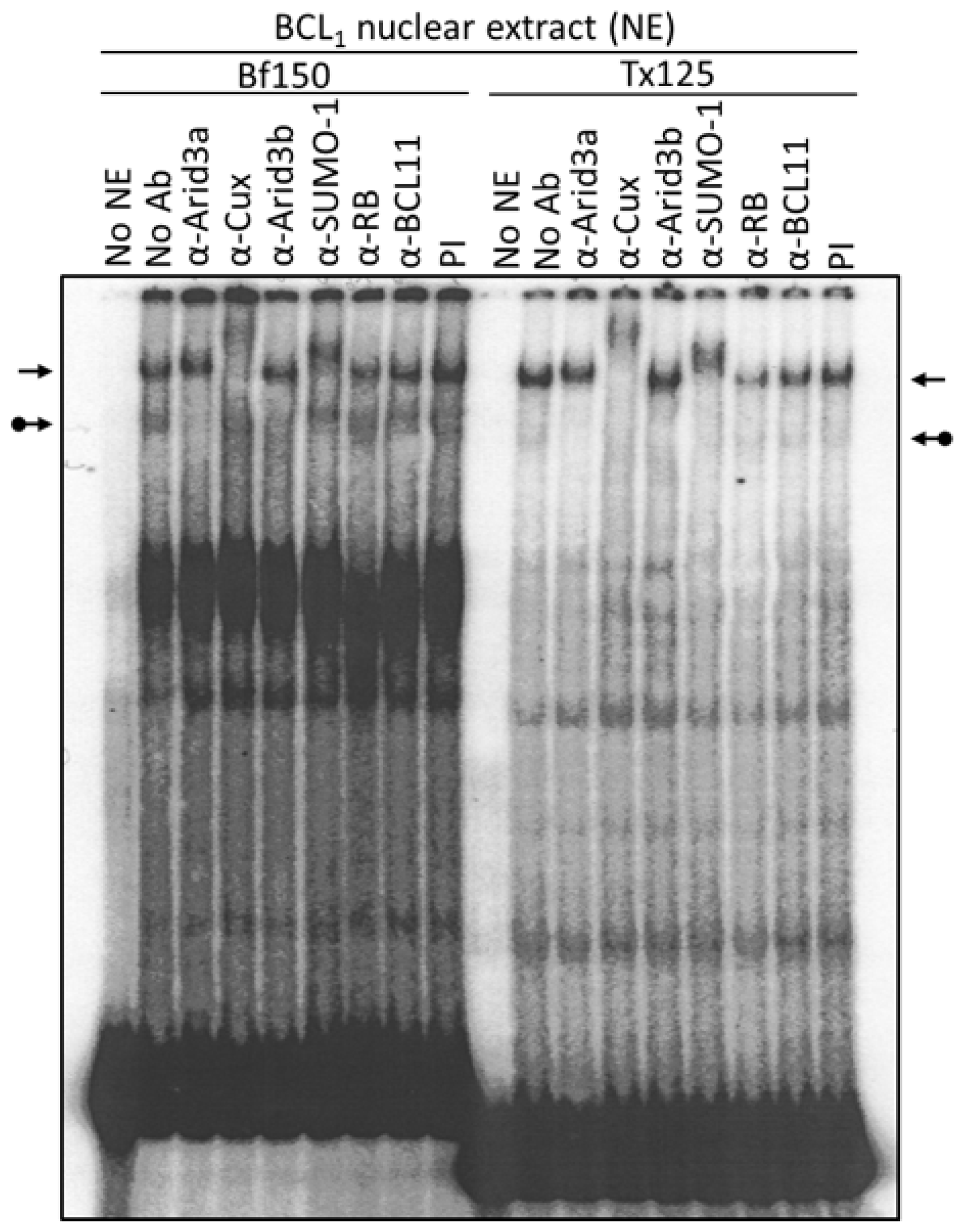 Diseases 05 00034 g003